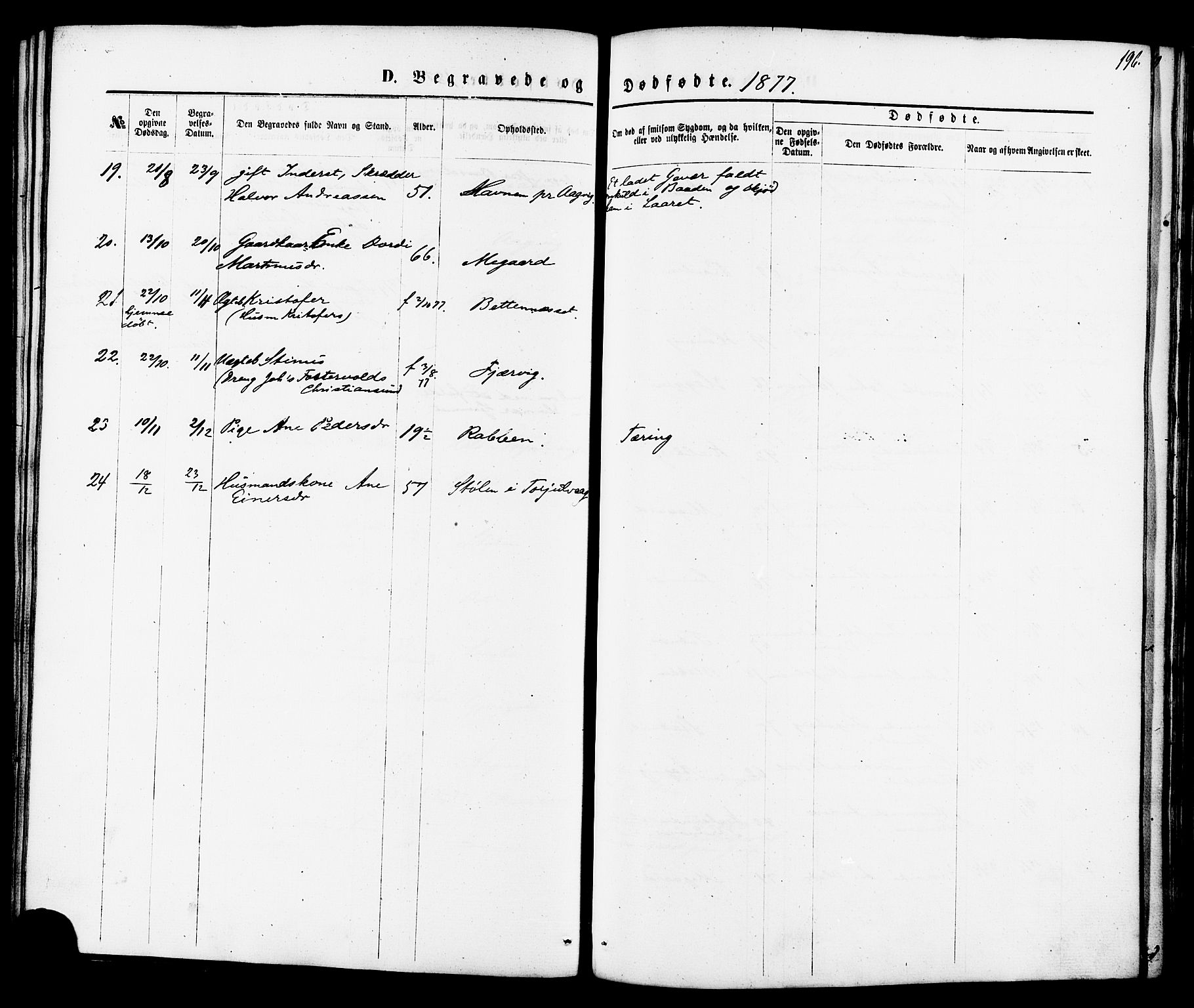 Ministerialprotokoller, klokkerbøker og fødselsregistre - Møre og Romsdal, AV/SAT-A-1454/576/L0884: Parish register (official) no. 576A02, 1865-1879, p. 196