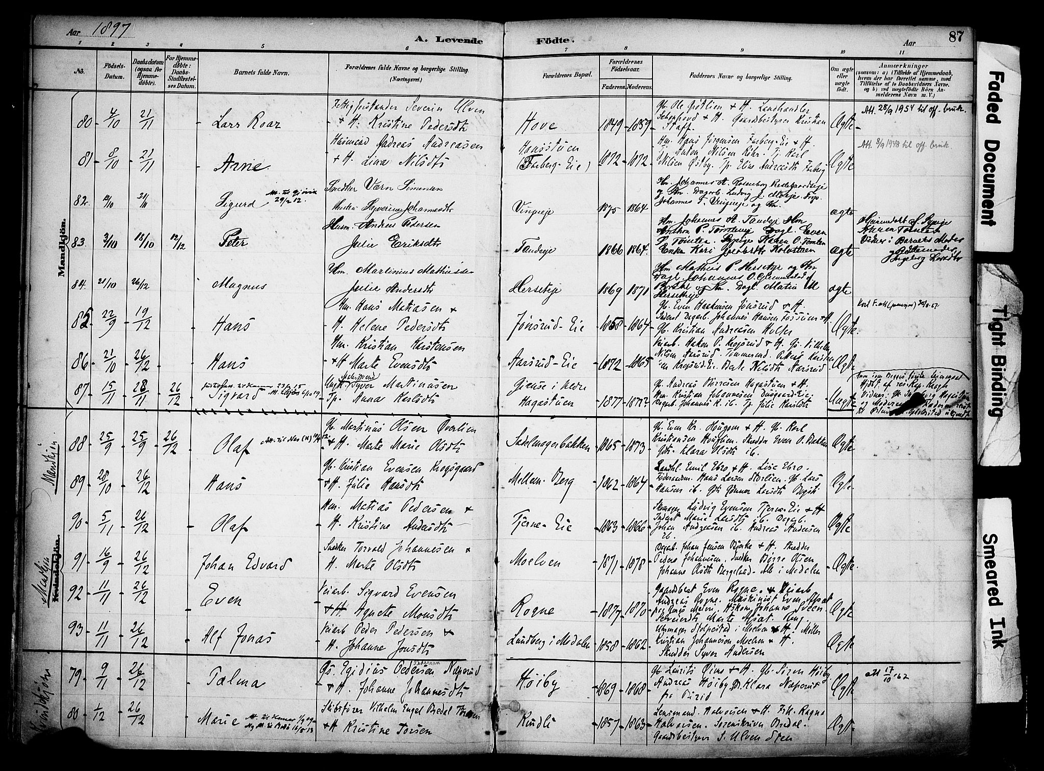 Ringsaker prestekontor, AV/SAH-PREST-014/K/Ka/L0017: Parish register (official) no. 17, 1891-1902, p. 87