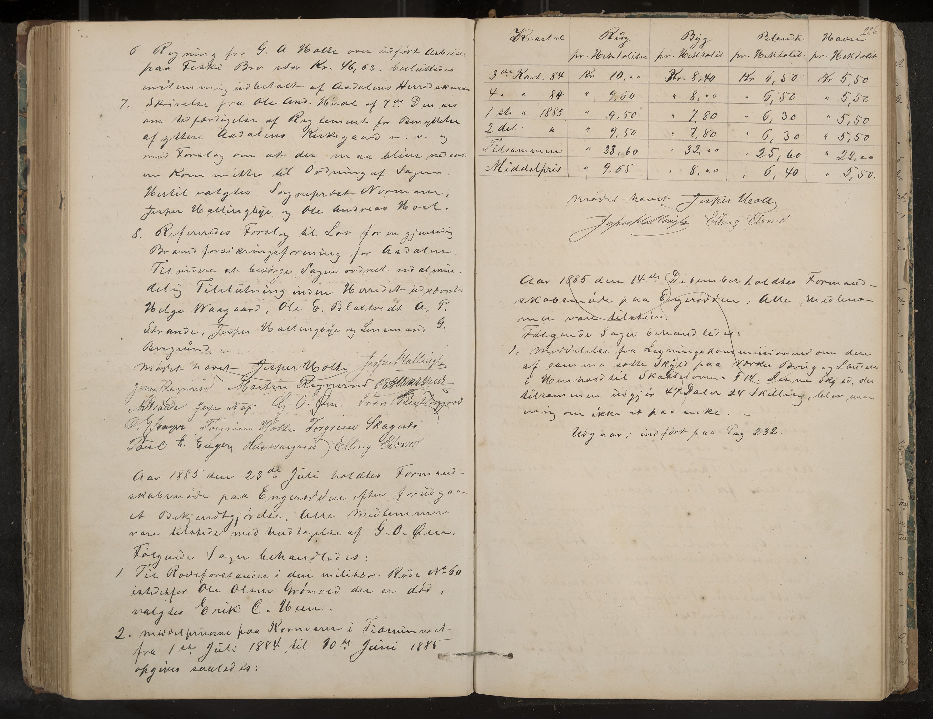 Ådal formannskap og sentraladministrasjon, IKAK/0614021/A/Aa/L0001: Møtebok, 1858-1891, p. 226