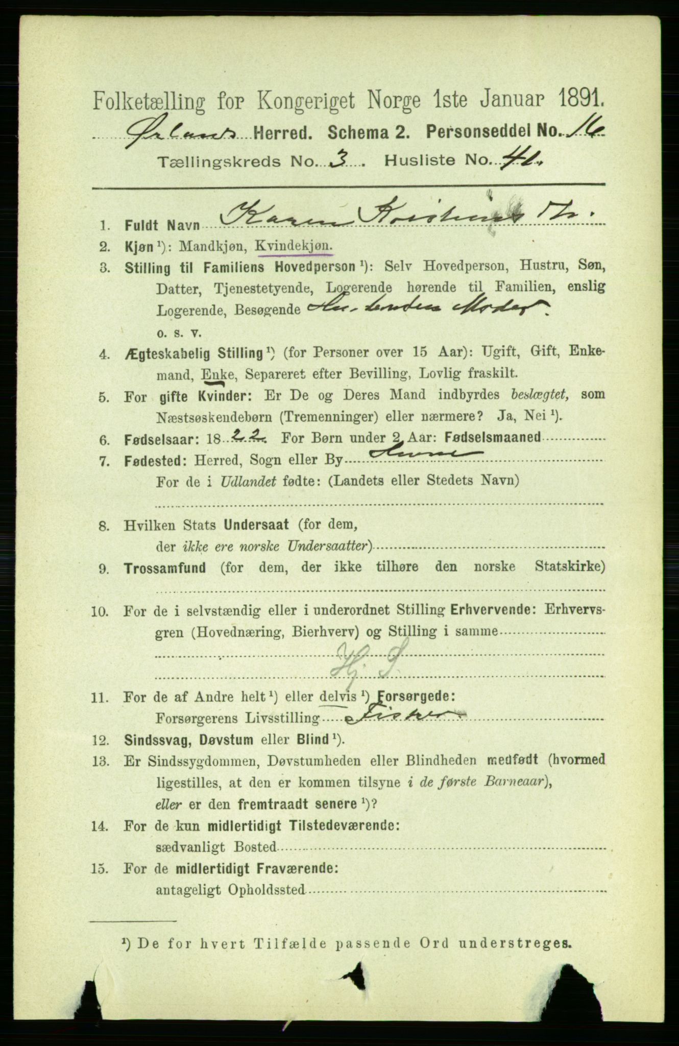 RA, 1891 census for 1621 Ørland, 1891, p. 1252