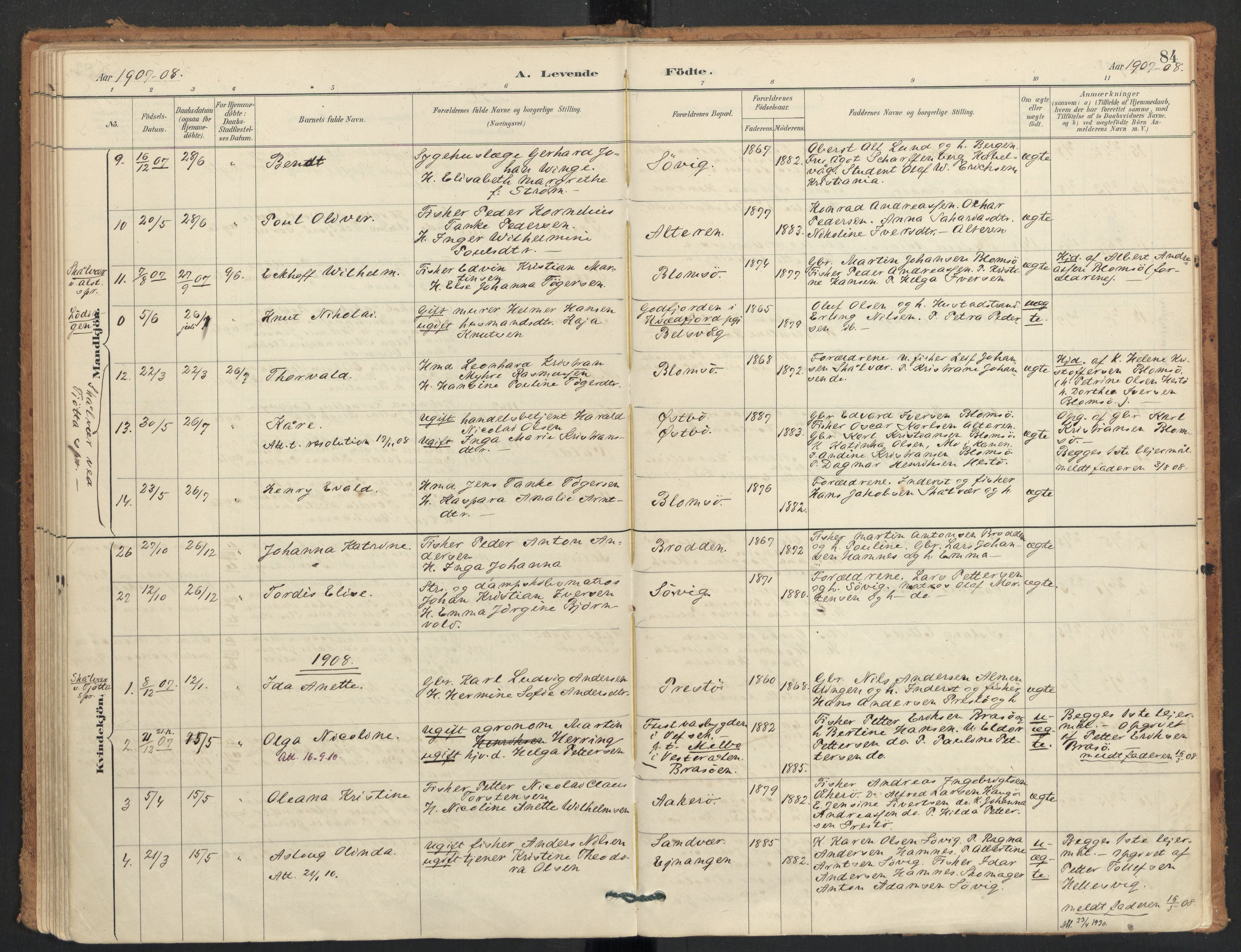Ministerialprotokoller, klokkerbøker og fødselsregistre - Nordland, SAT/A-1459/830/L0453: Parish register (official) no. 830A17, 1886-1911, p. 84