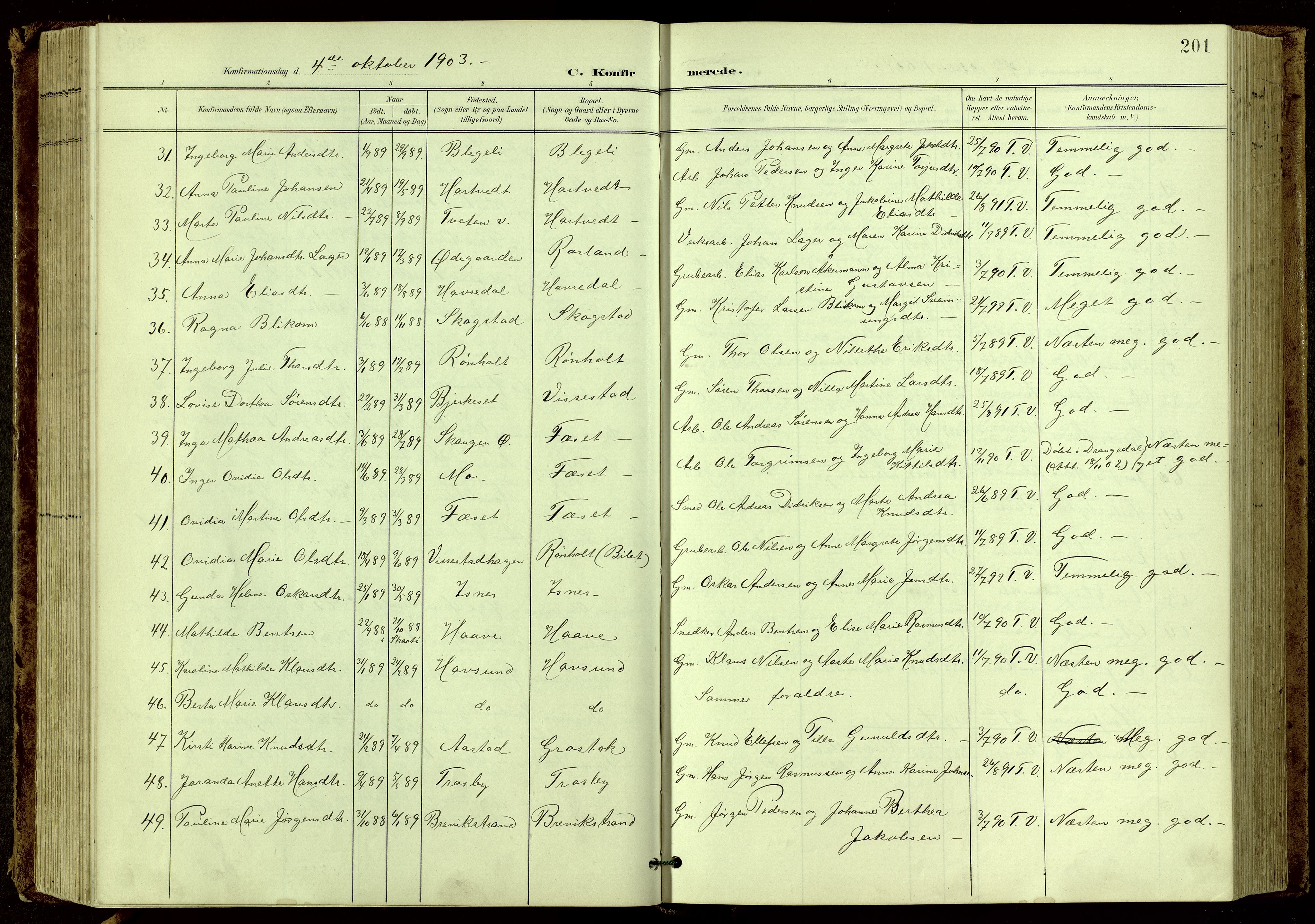 Bamble kirkebøker, AV/SAKO-A-253/G/Ga/L0010: Parish register (copy) no. I 10, 1901-1919, p. 201