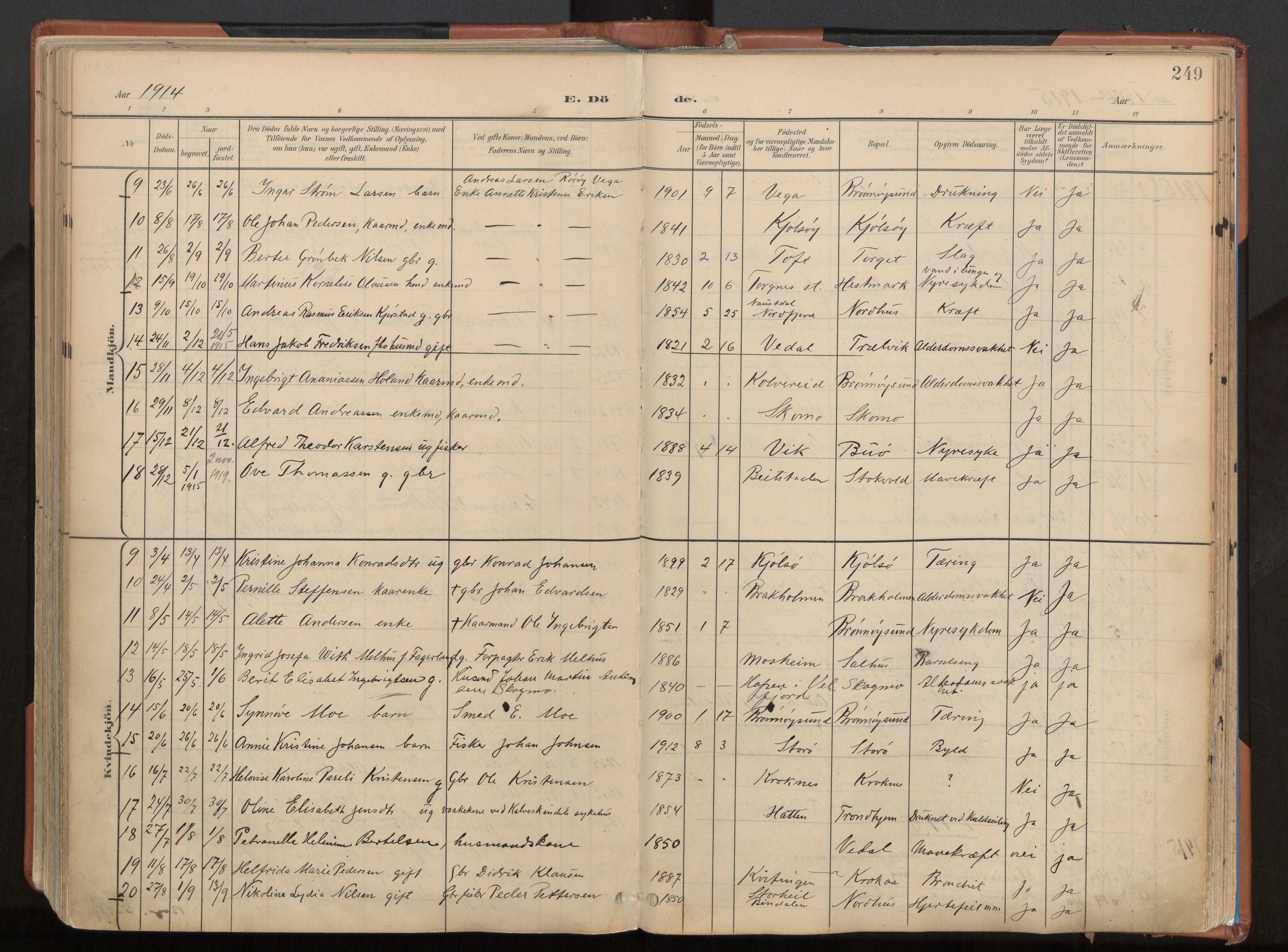 Ministerialprotokoller, klokkerbøker og fødselsregistre - Nordland, SAT/A-1459/813/L0201: Parish register (official) no. 813A11, 1901-1918, p. 249