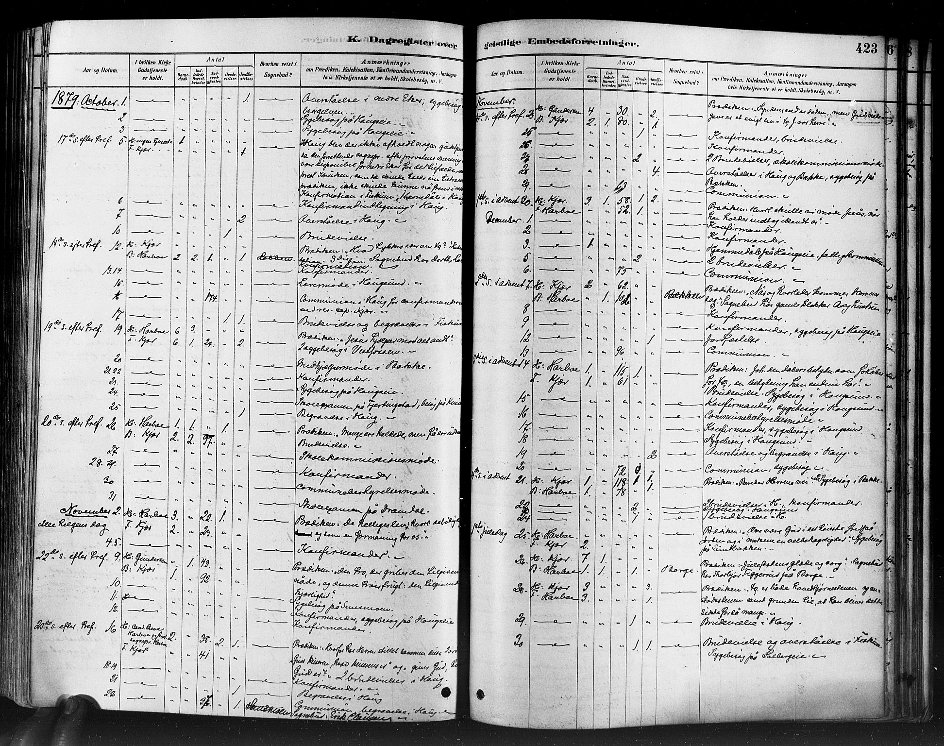 Eiker kirkebøker, AV/SAKO-A-4/F/Fb/L0001: Parish register (official) no. II 1, 1878-1888, p. 423