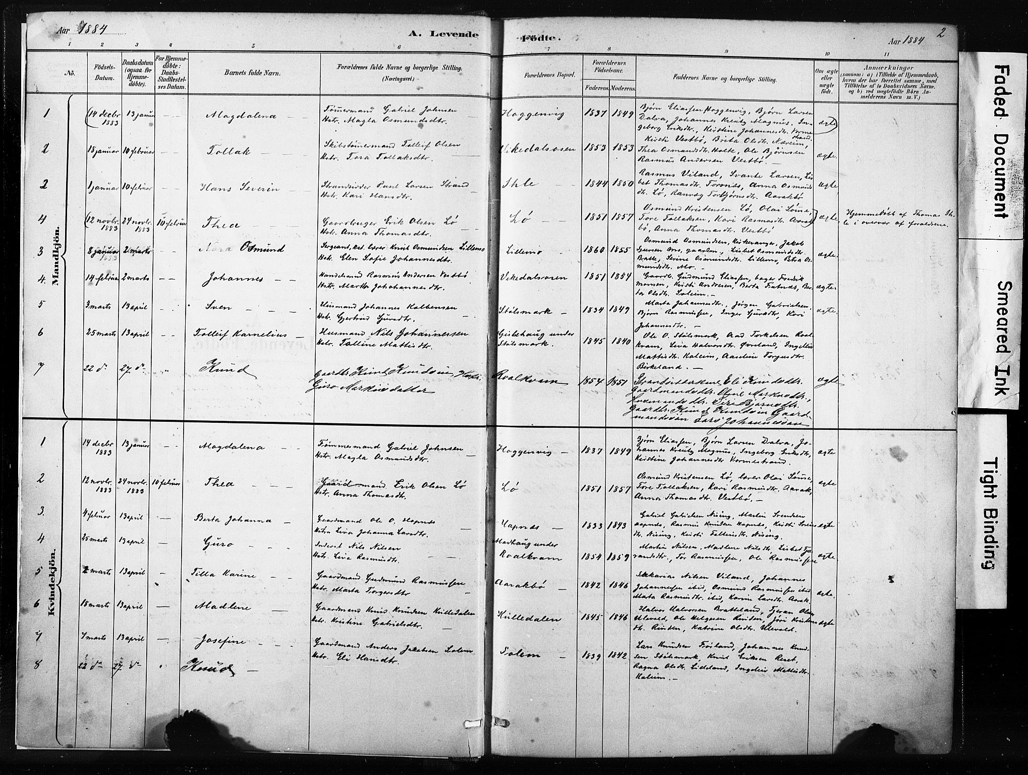 Vikedal sokneprestkontor, AV/SAST-A-101840/01/IV: Parish register (official) no. A 10, 1884-1907, p. 2