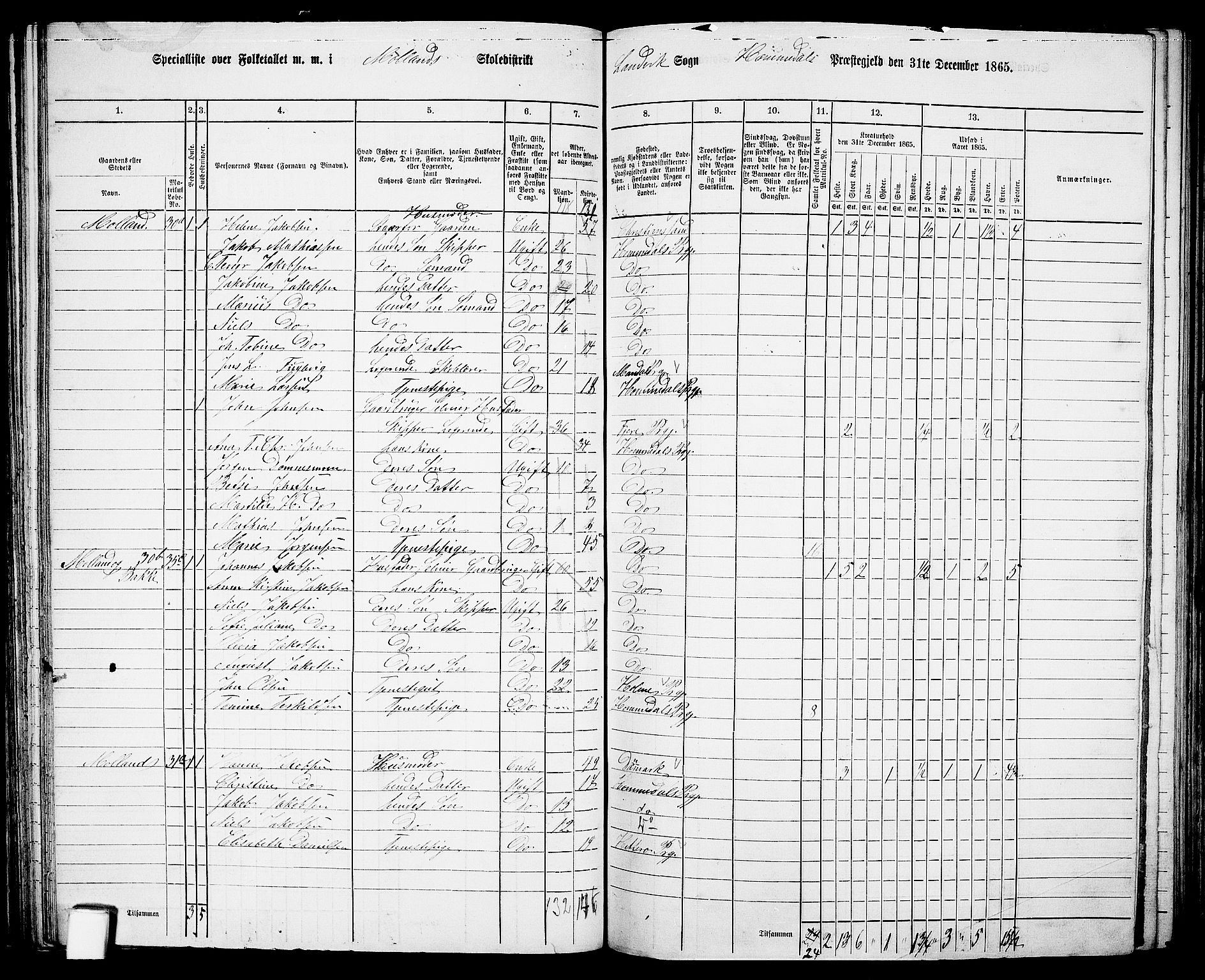 RA, 1865 census for Homedal, 1865, p. 64