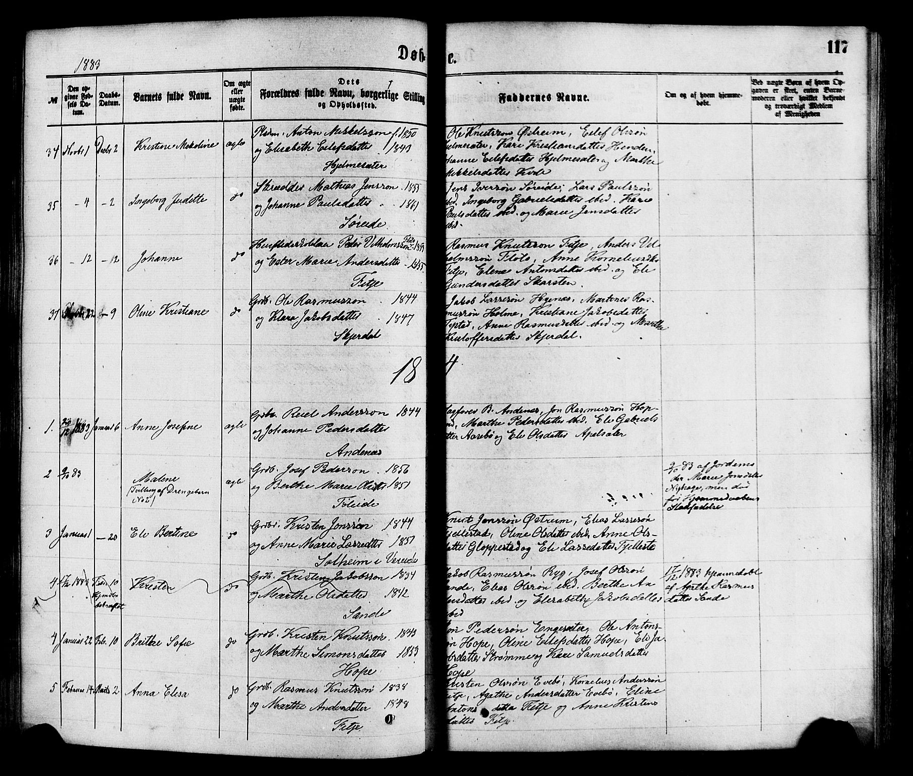 Gloppen sokneprestembete, SAB/A-80101/H/Haa/Haaa/L0010: Parish register (official) no. A 10, 1871-1884, p. 117