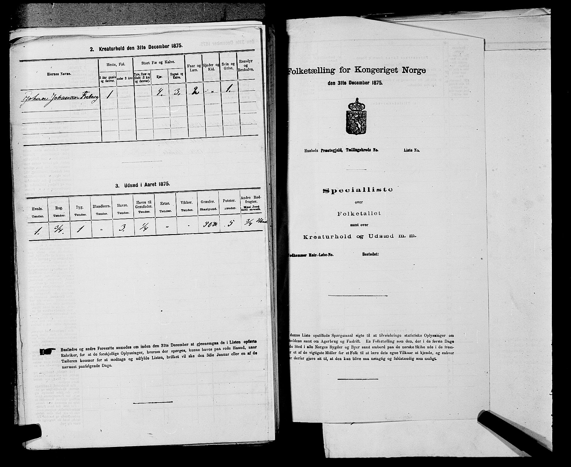 SAKO, 1875 census for 0721P Sem, 1875, p. 610