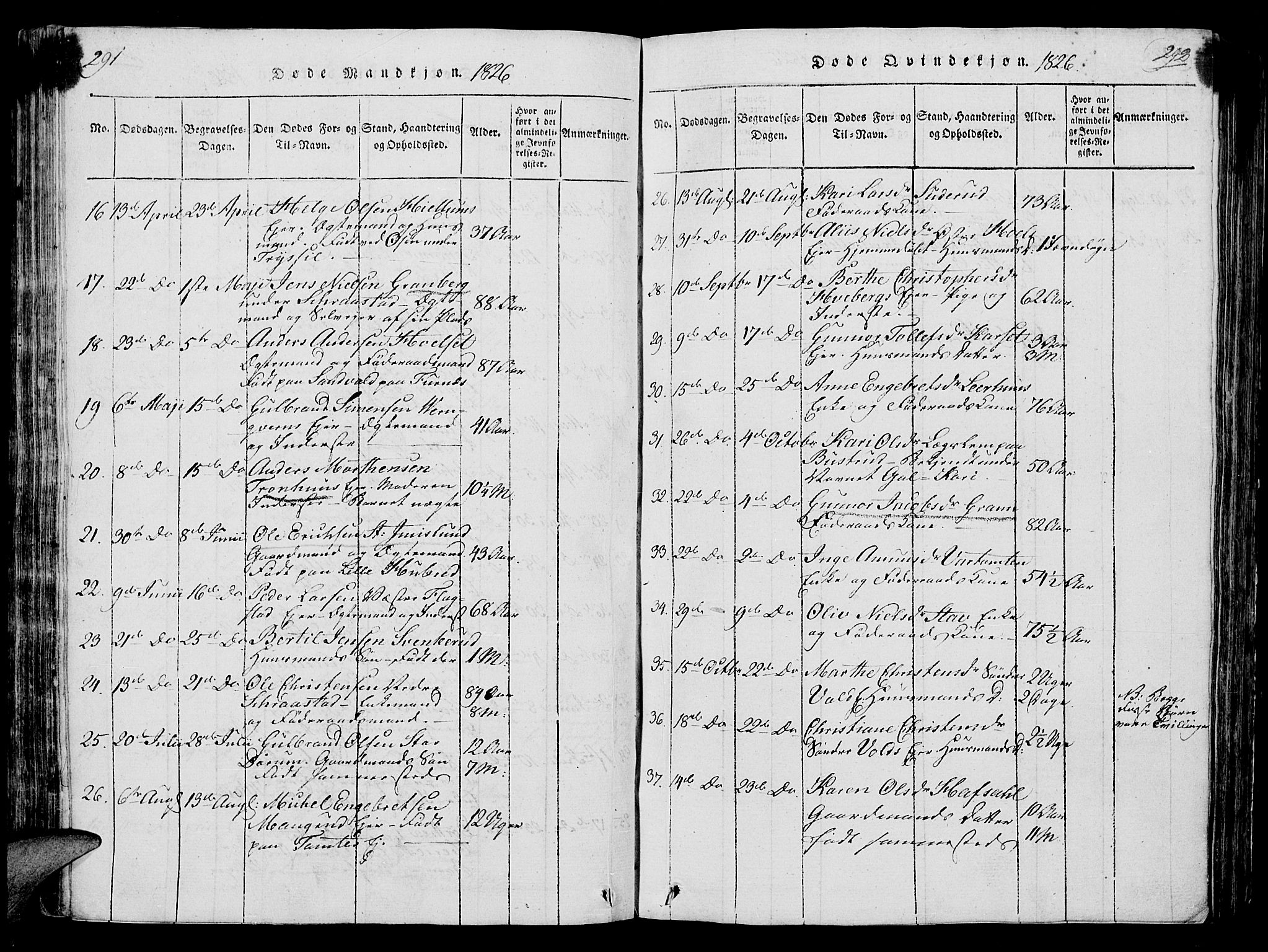 Vang prestekontor, Hedmark, AV/SAH-PREST-008/H/Ha/Hab/L0004: Parish register (copy) no. 4, 1813-1827, p. 291-292