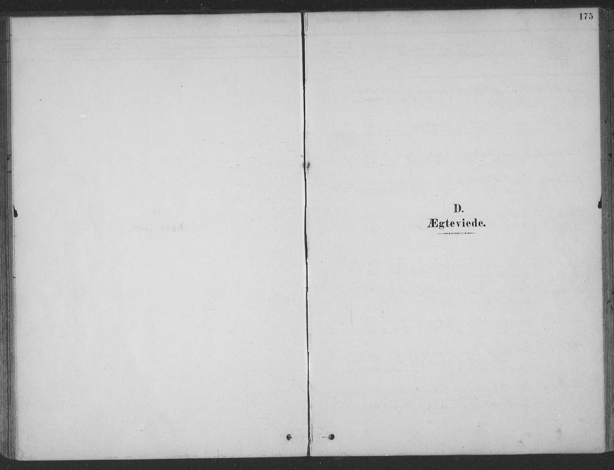 Ministerialprotokoller, klokkerbøker og fødselsregistre - Møre og Romsdal, SAT/A-1454/547/L0604: Parish register (official) no. 547A06, 1878-1906, p. 175