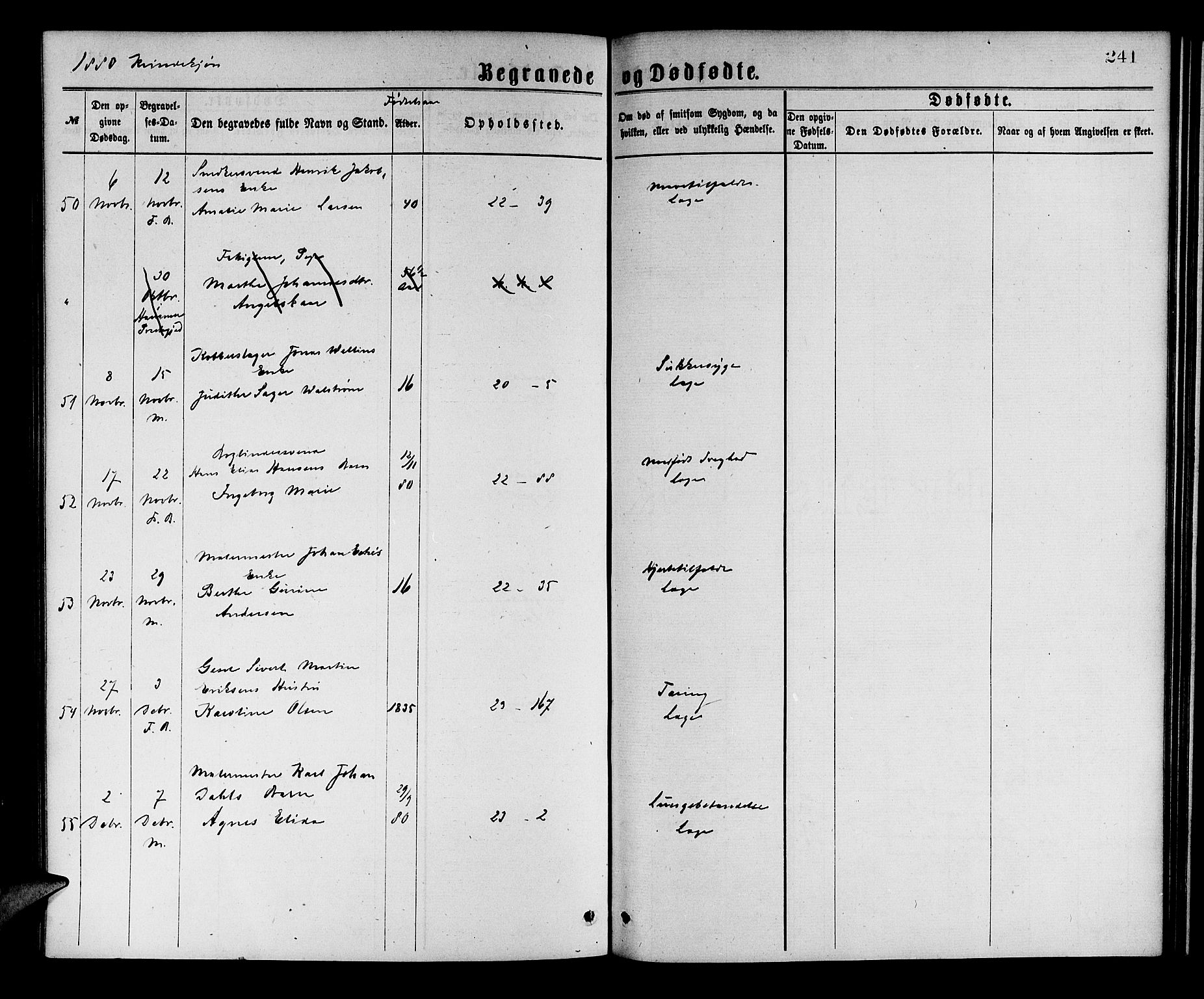 Korskirken sokneprestembete, SAB/A-76101/H/Hab: Parish register (copy) no. E 3, 1871-1883, p. 241