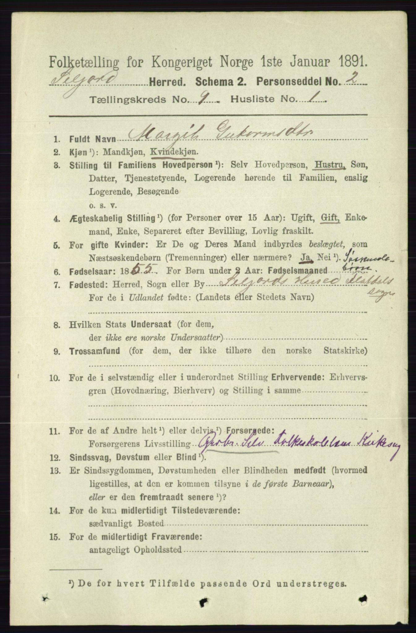 RA, 1891 census for 0828 Seljord, 1891, p. 3172