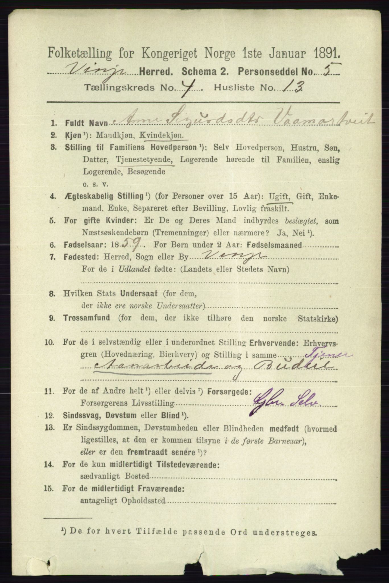 RA, 1891 census for 0834 Vinje, 1891, p. 1003