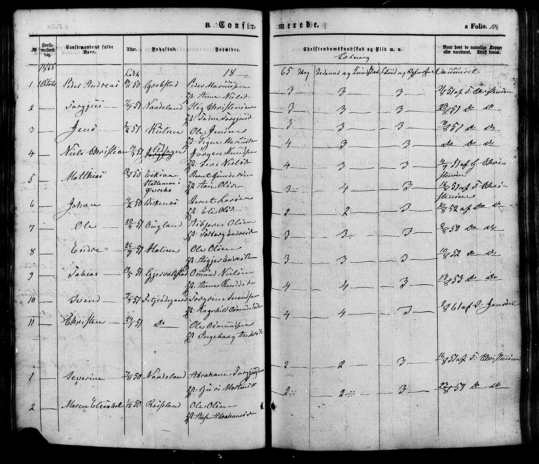 Søgne sokneprestkontor, AV/SAK-1111-0037/F/Fa/Faa/L0002: Parish register (official) no. A 2, 1854-1882, p. 104