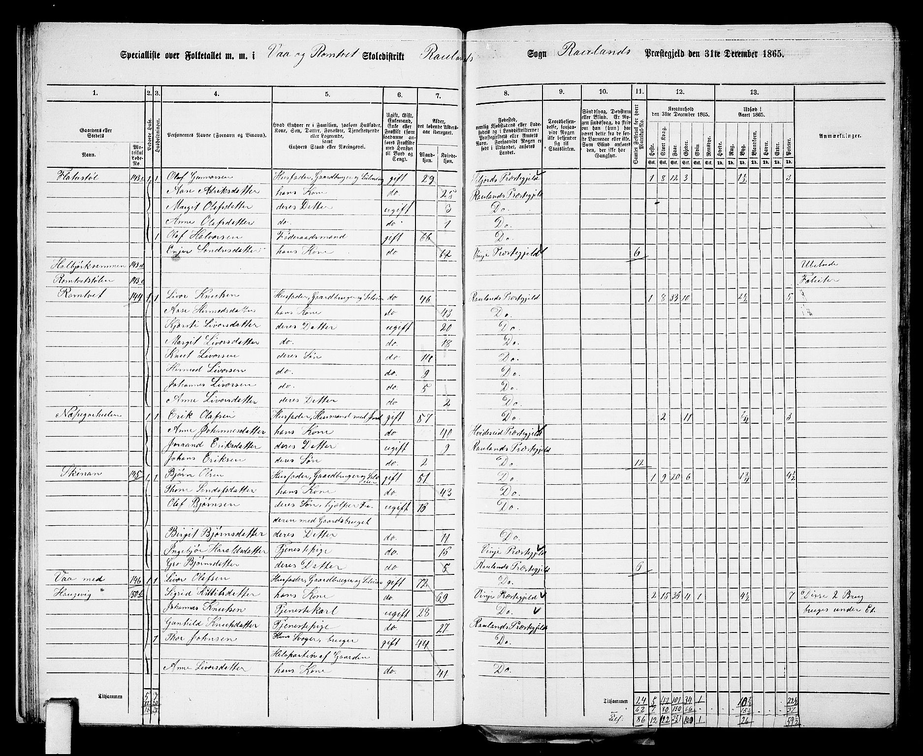 RA, 1865 census for Rauland, 1865, p. 25