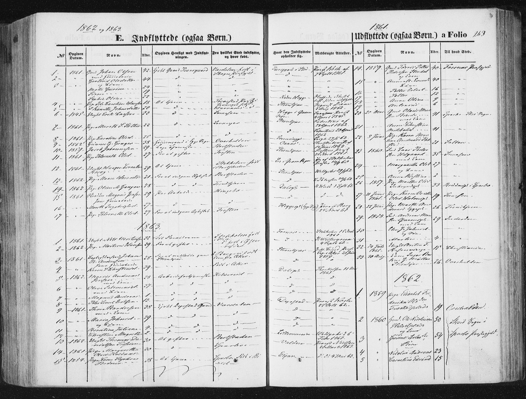 Ministerialprotokoller, klokkerbøker og fødselsregistre - Nord-Trøndelag, SAT/A-1458/746/L0447: Parish register (official) no. 746A06, 1860-1877, p. 263