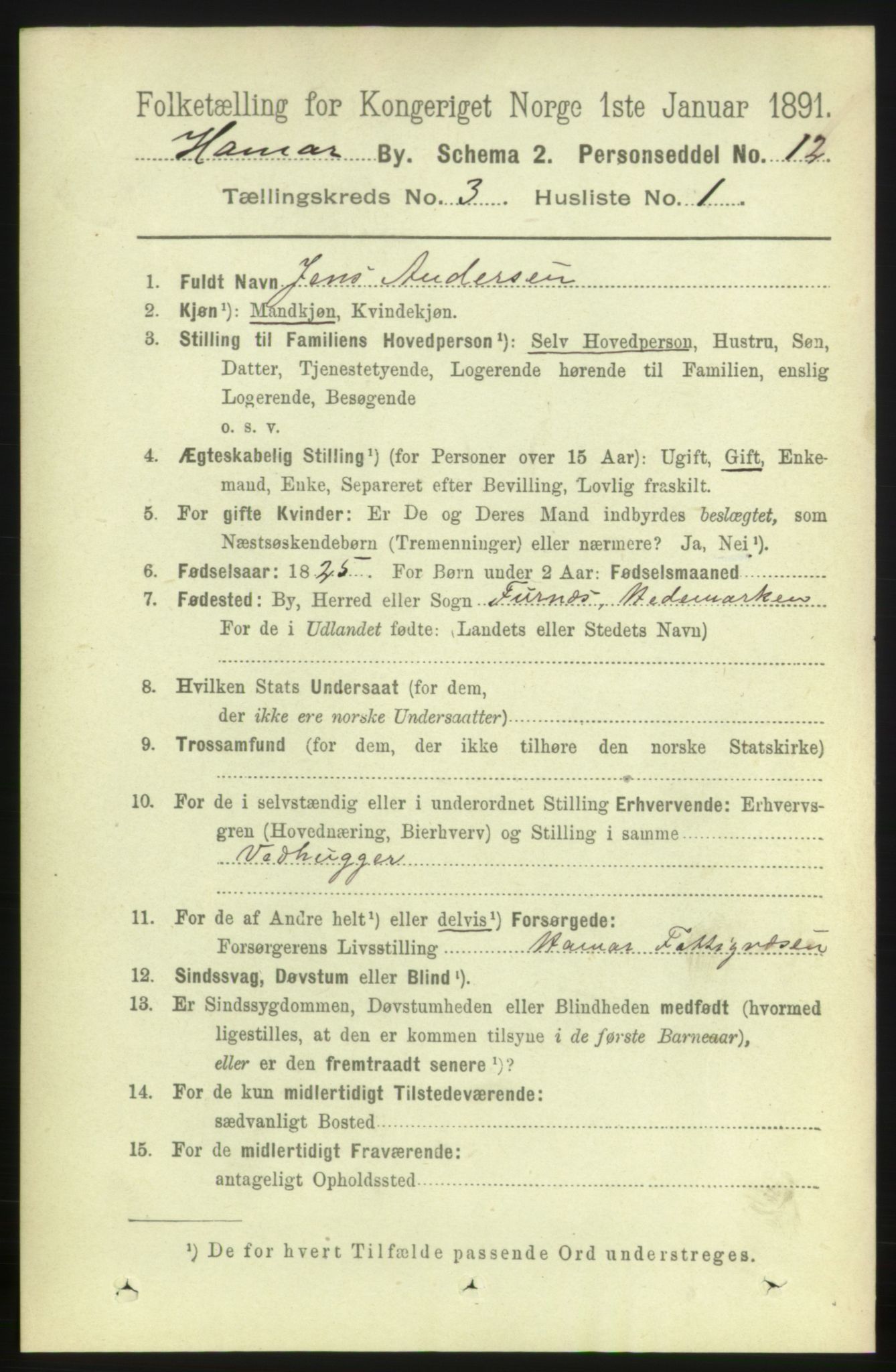 RA, 1891 census for 0401 Hamar, 1891, p. 1676