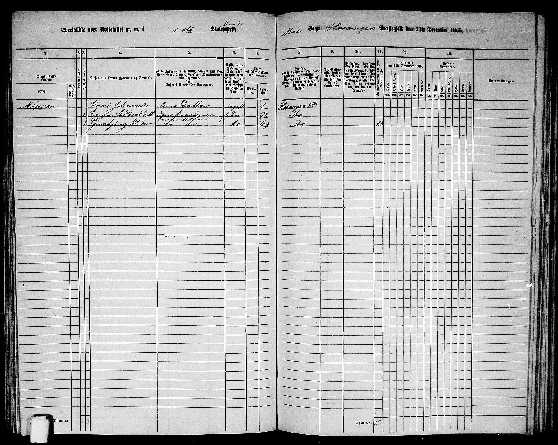 RA, 1865 census for Hosanger, 1865, p. 124