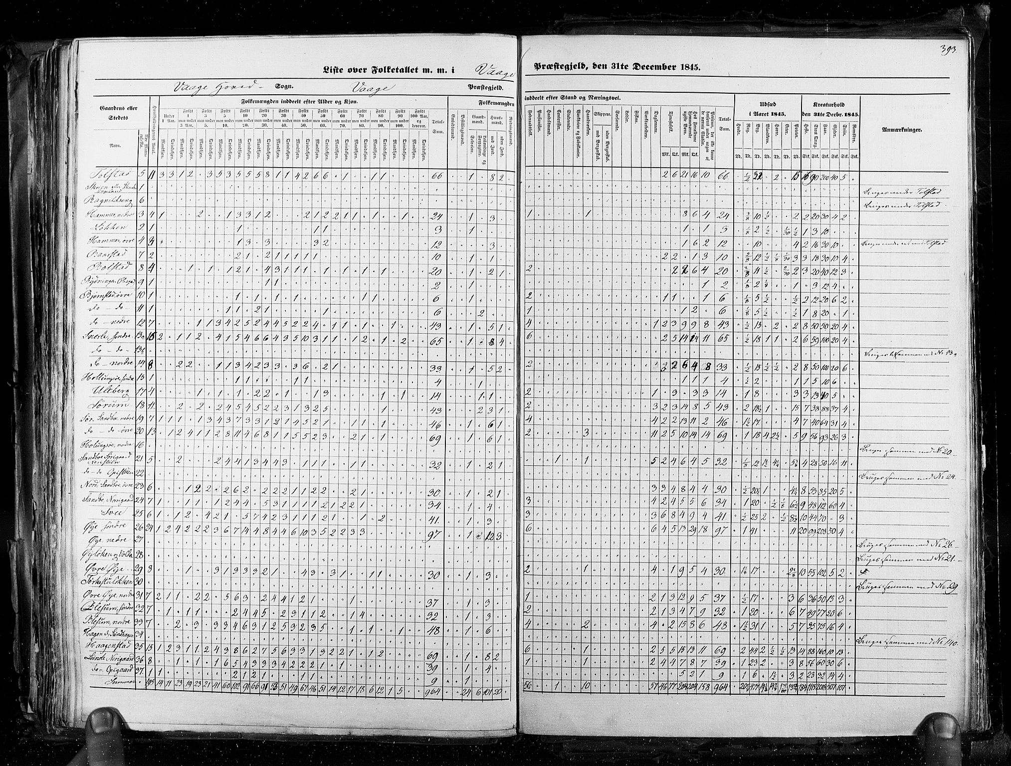 RA, Census 1845, vol. 3: Hedemarken amt og Kristians amt, 1845, p. 393