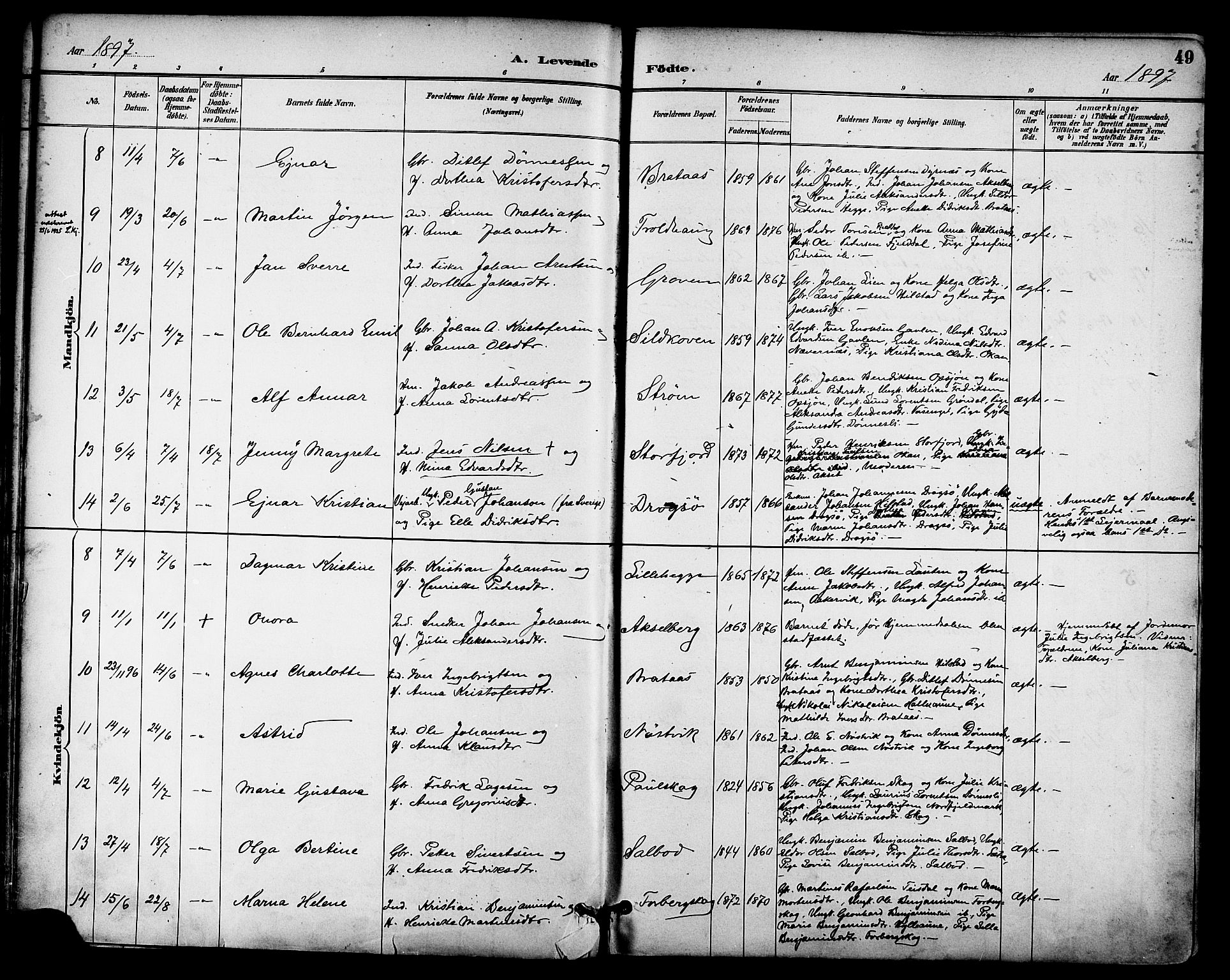 Ministerialprotokoller, klokkerbøker og fødselsregistre - Nordland, AV/SAT-A-1459/814/L0226: Parish register (official) no. 814A07, 1886-1898, p. 49