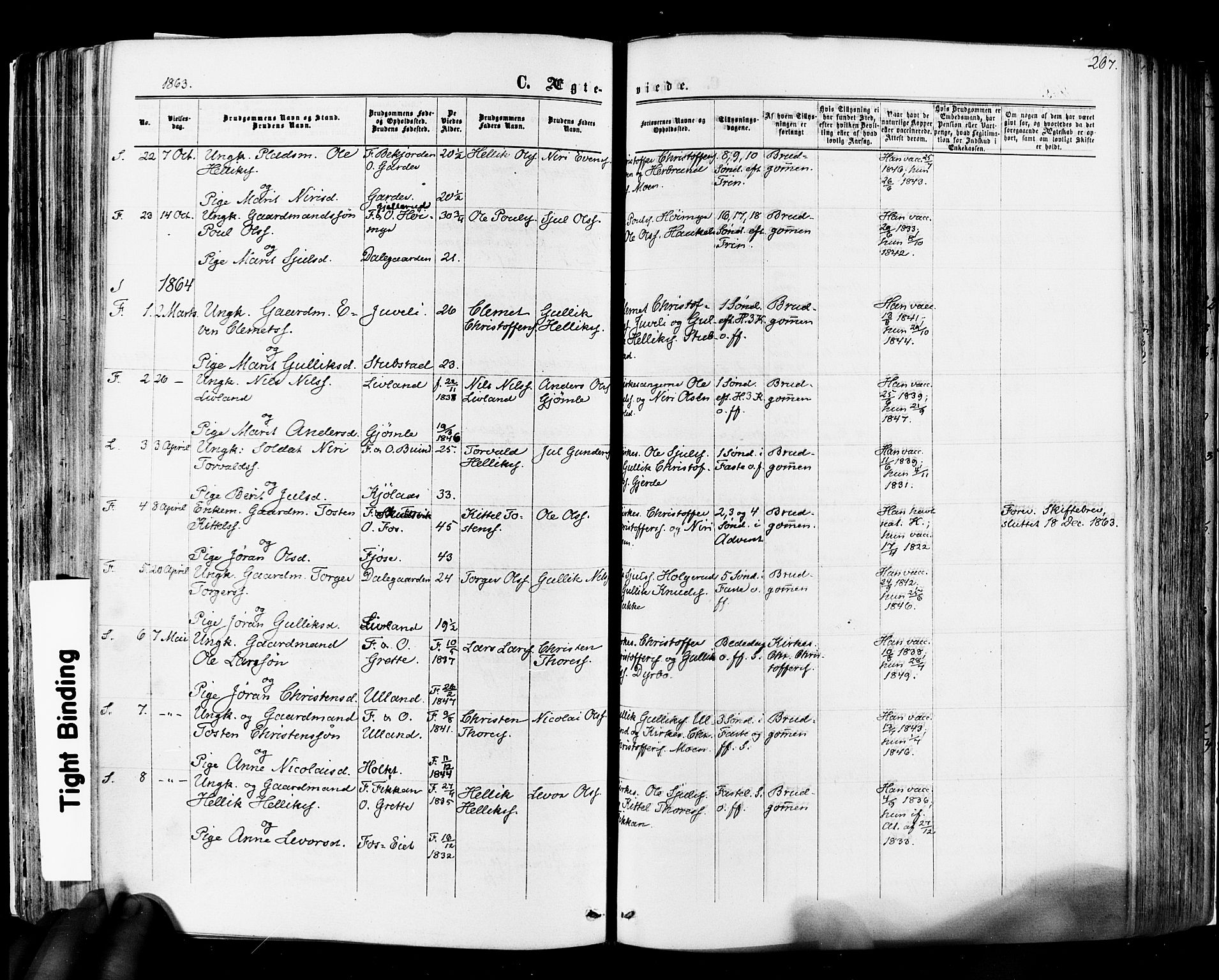 Flesberg kirkebøker, SAKO/A-18/F/Fa/L0007: Parish register (official) no. I 7, 1861-1878, p. 267