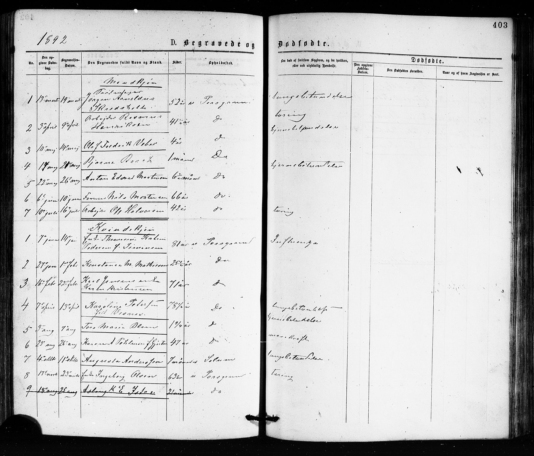 Porsgrunn kirkebøker , SAKO/A-104/G/Ga/L0003: Parish register (copy) no. I 3, 1877-1915, p. 403