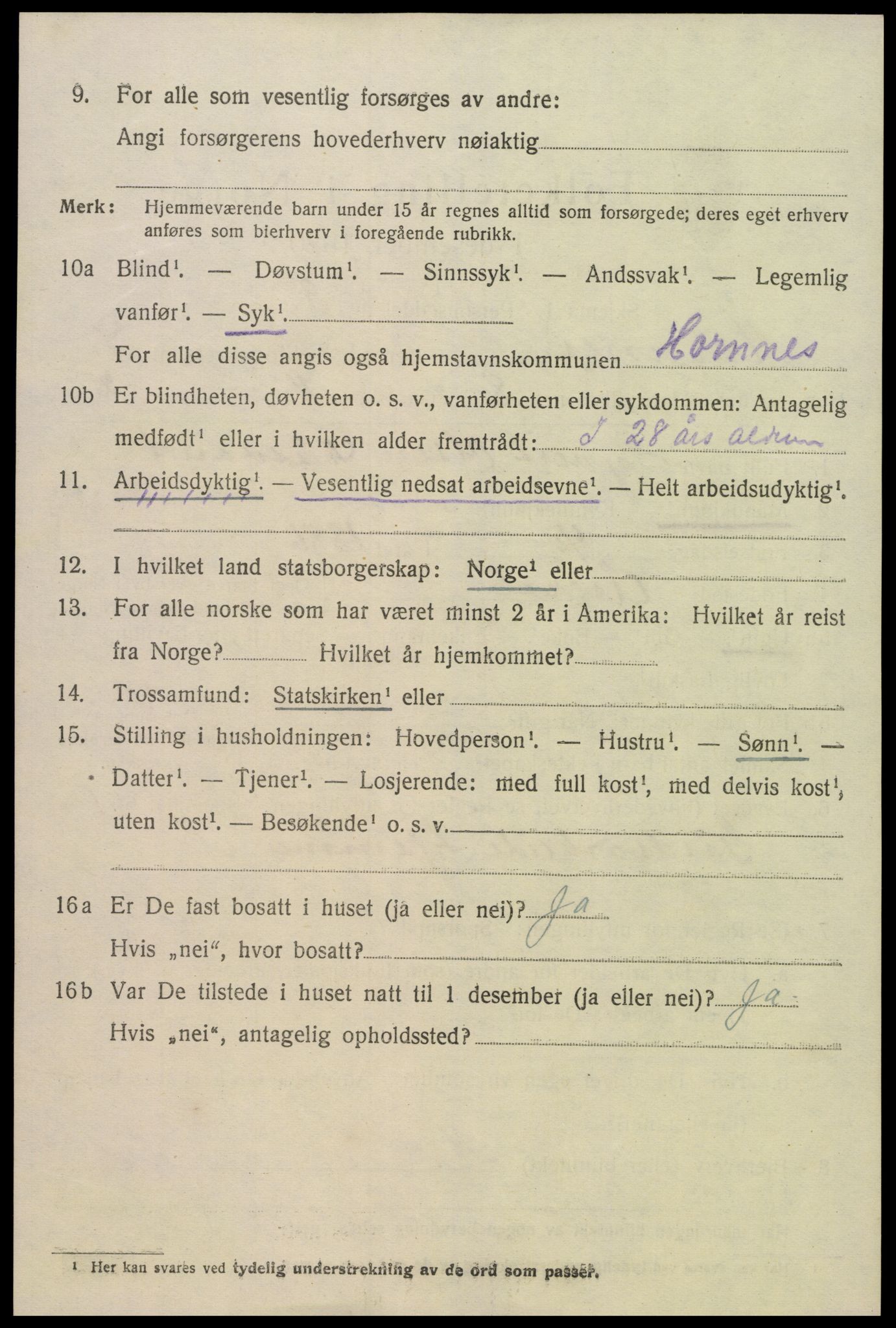 SAK, 1920 census for Hornnes, 1920, p. 1742