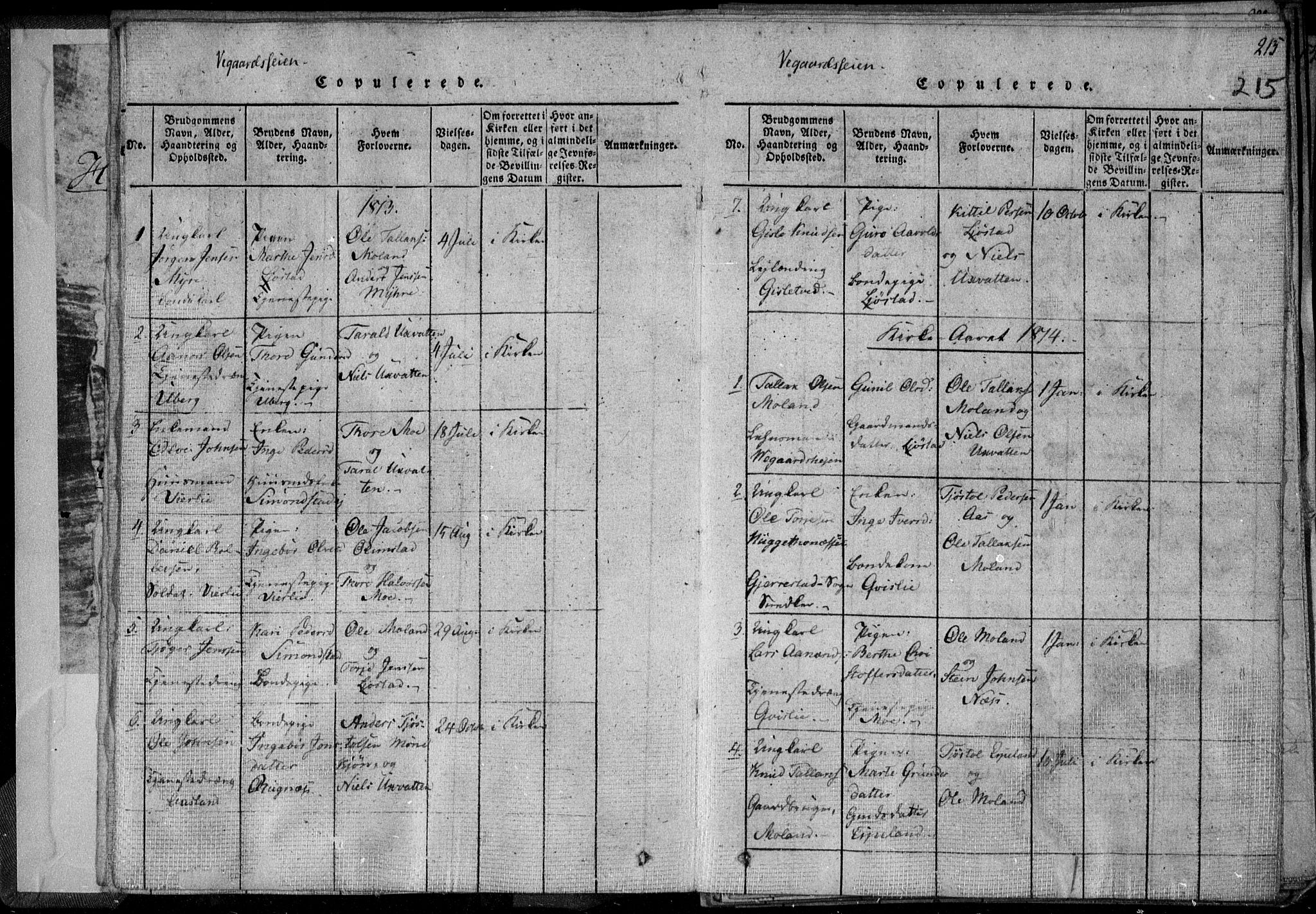 Holt sokneprestkontor, AV/SAK-1111-0021/F/Fa/L0005: Parish register (official) no. A 5, 1813-1821, p. 215