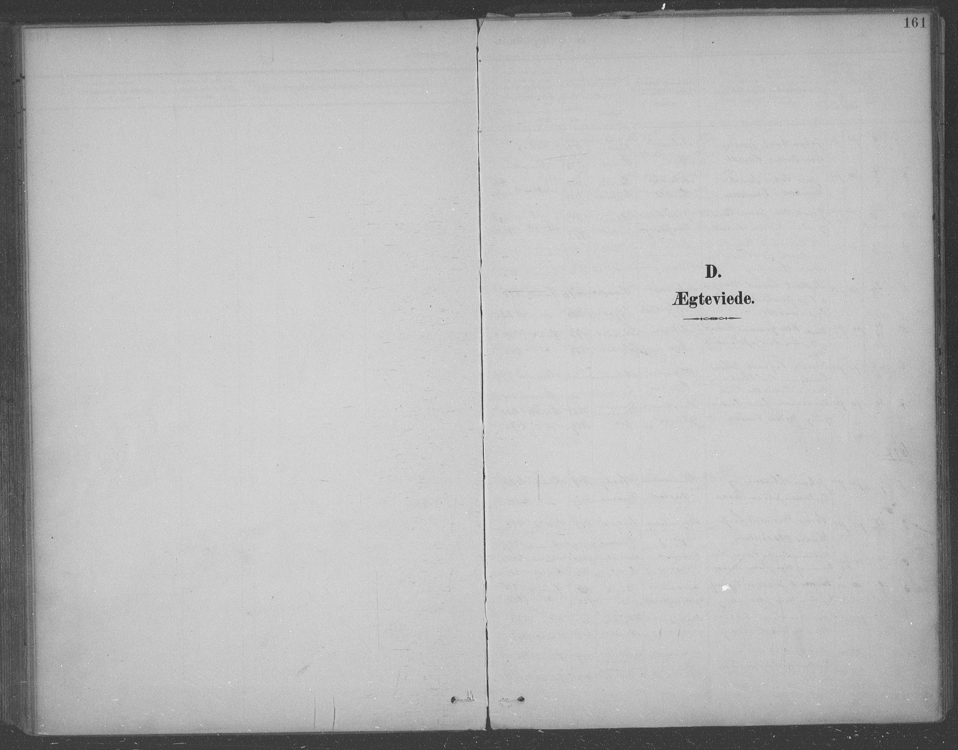Aremark prestekontor Kirkebøker, SAO/A-10899/F/Fb/L0005: Parish register (official) no. II 5, 1895-1919, p. 161