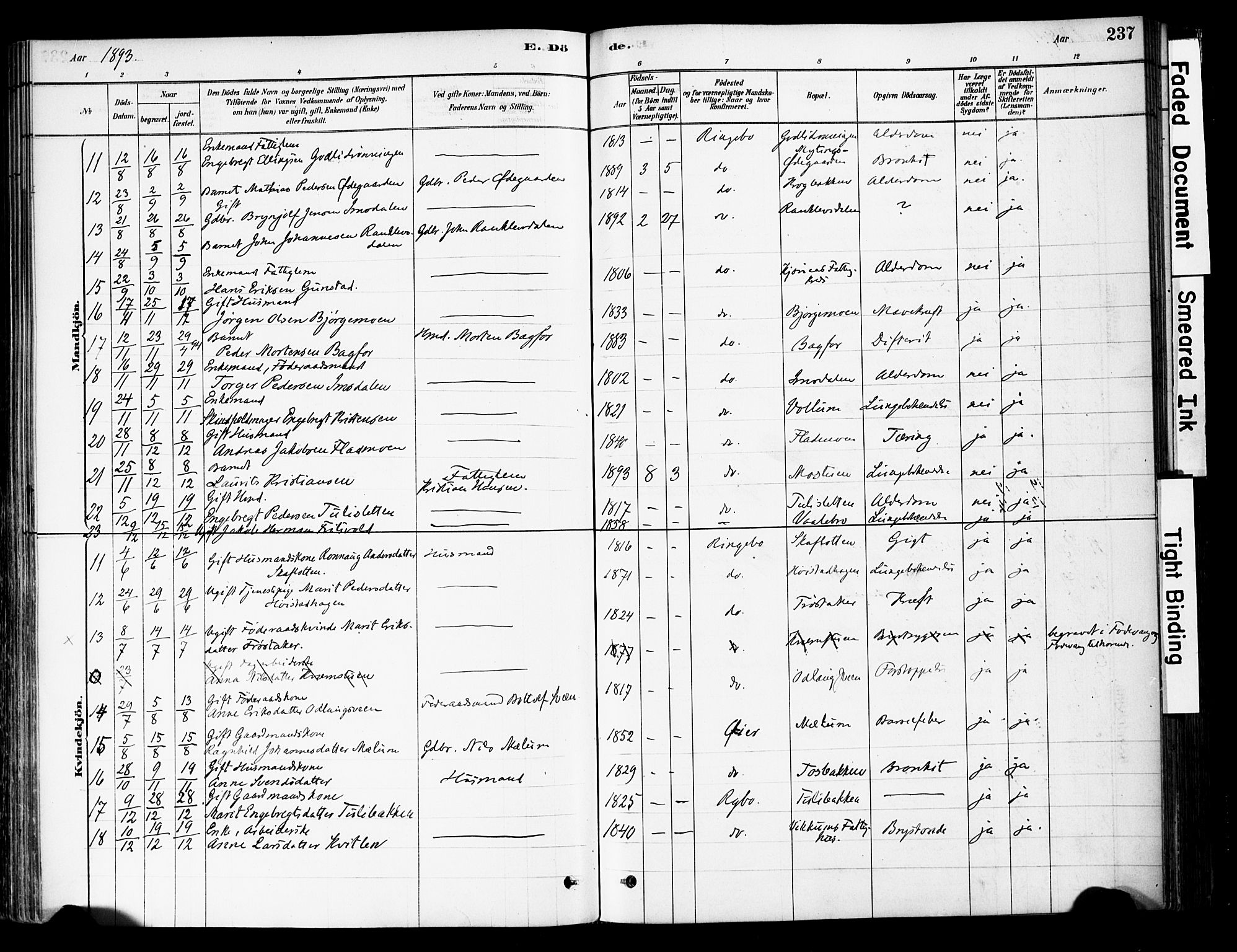 Ringebu prestekontor, AV/SAH-PREST-082/H/Ha/Haa/L0008: Parish register (official) no. 8, 1878-1898, p. 237