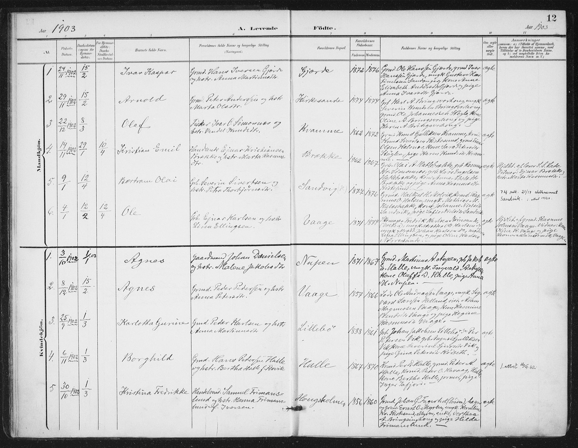 Ministerialprotokoller, klokkerbøker og fødselsregistre - Møre og Romsdal, AV/SAT-A-1454/503/L0038: Parish register (official) no. 503A06, 1901-1917, p. 12