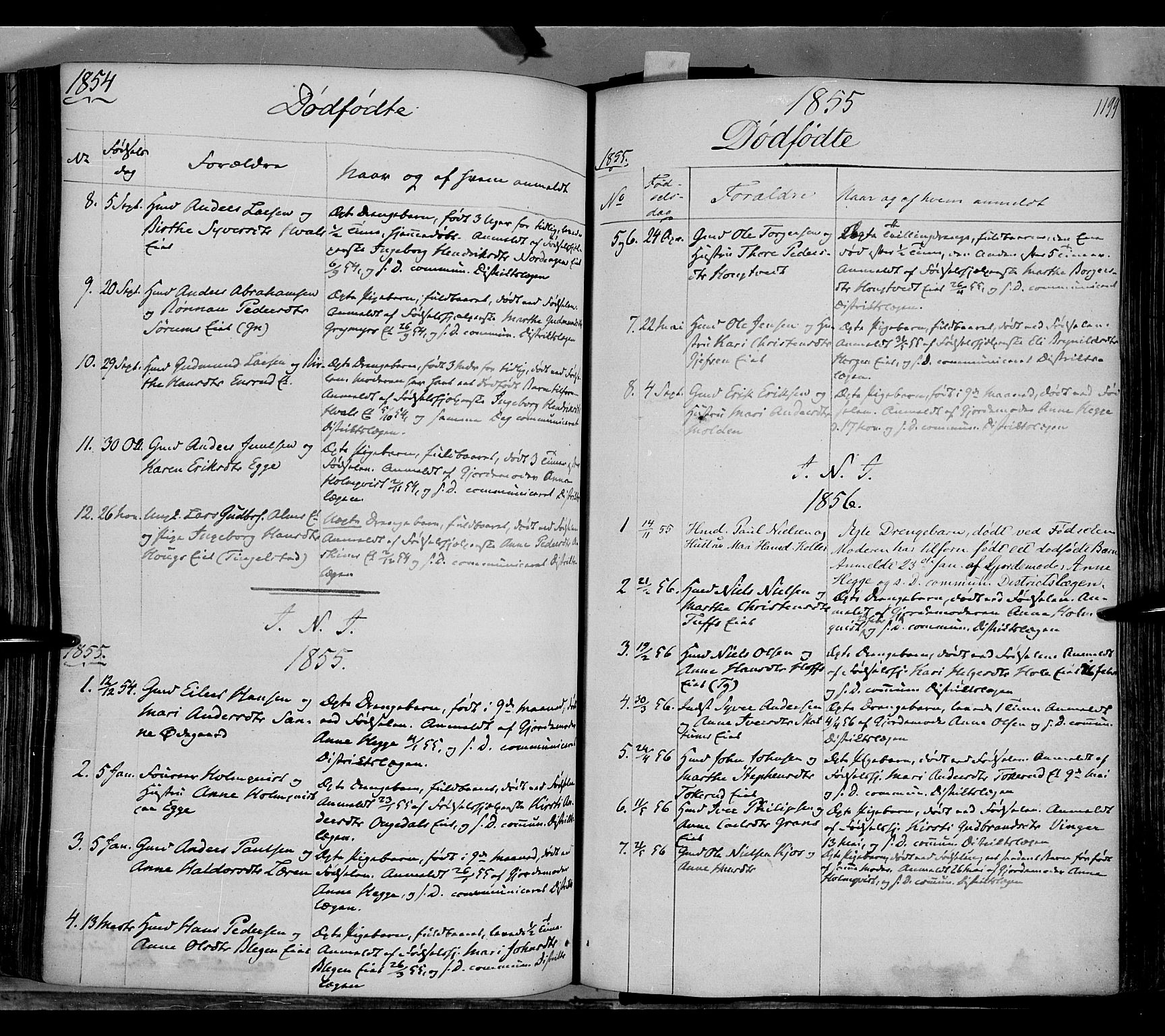 Gran prestekontor, AV/SAH-PREST-112/H/Ha/Haa/L0011: Parish register (official) no. 11, 1842-1856, p. 1198-1199