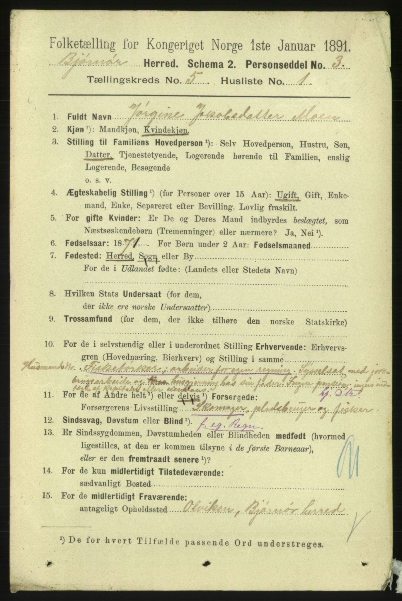 RA, 1891 census for 1632 Bjørnør, 1891, p. 2282