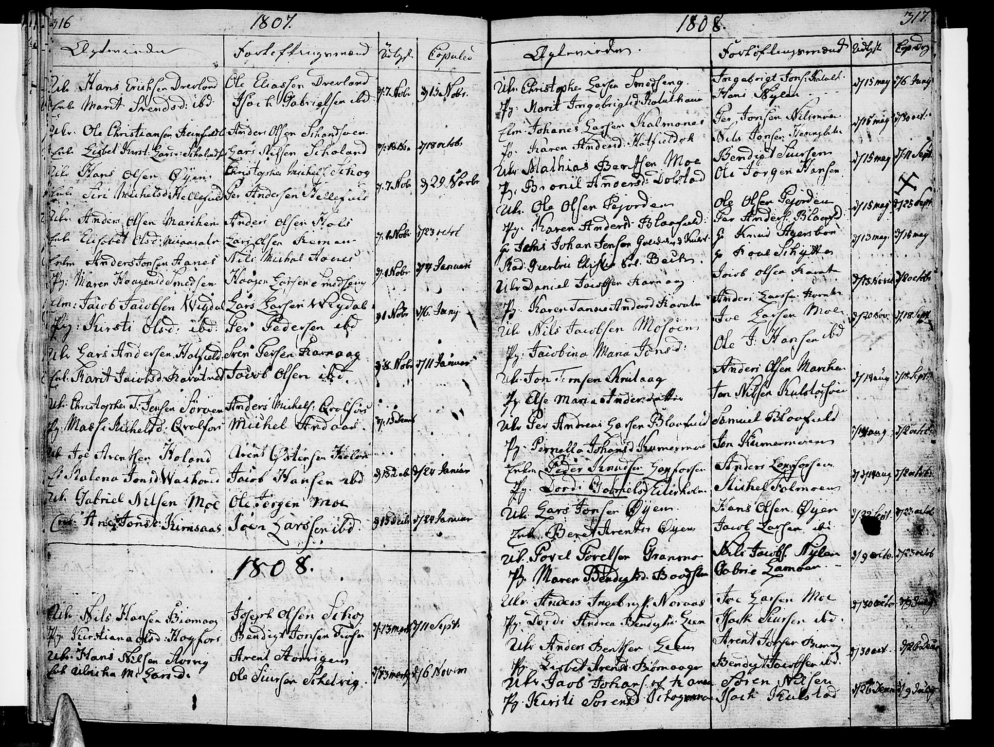 Ministerialprotokoller, klokkerbøker og fødselsregistre - Nordland, SAT/A-1459/820/L0287: Parish register (official) no. 820A08, 1800-1819, p. 316-317