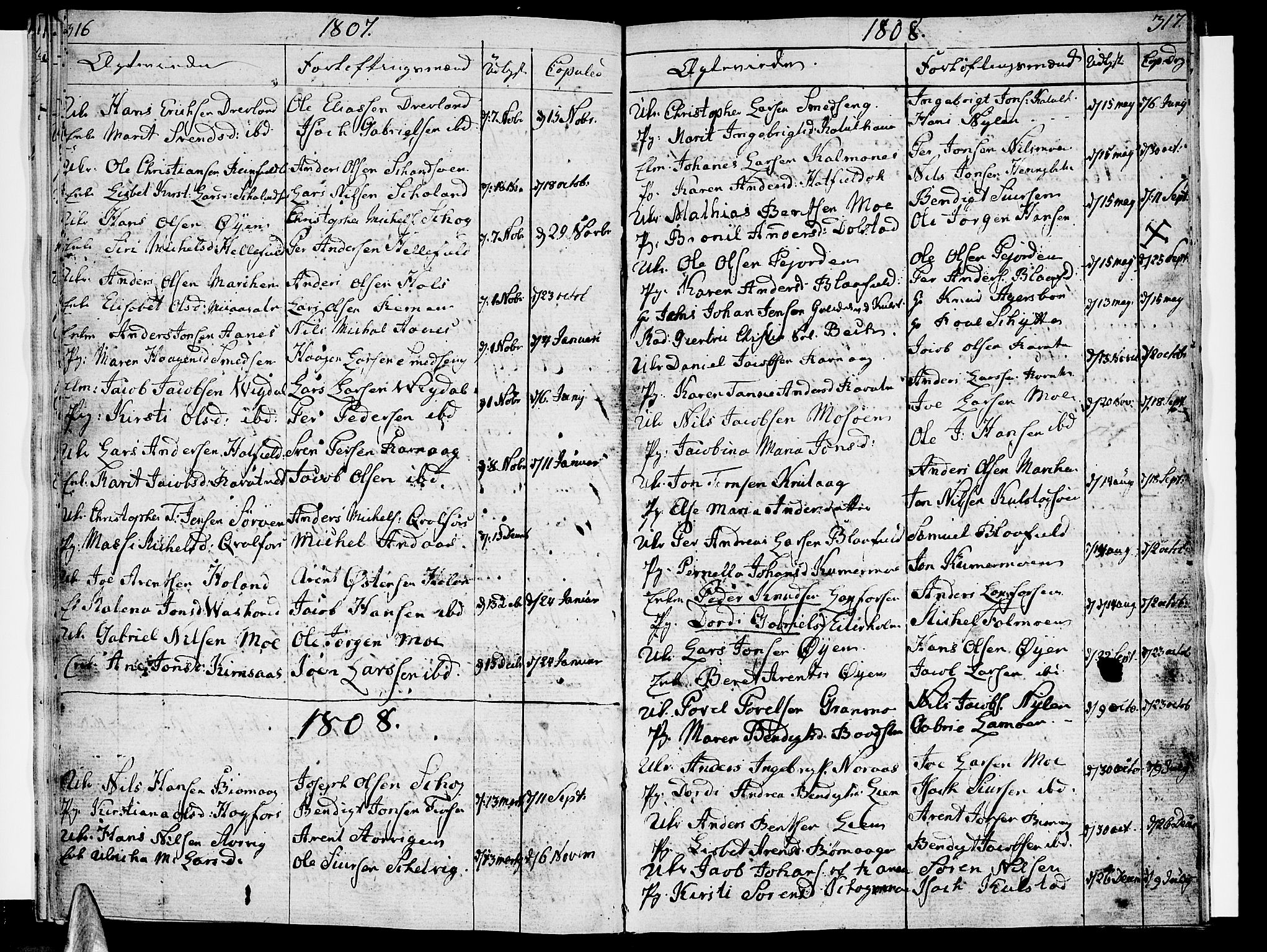 Ministerialprotokoller, klokkerbøker og fødselsregistre - Nordland, AV/SAT-A-1459/820/L0287: Parish register (official) no. 820A08, 1800-1819, p. 316-317