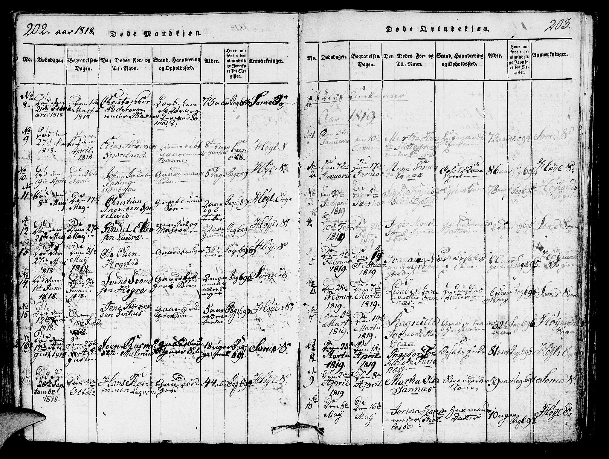Høyland sokneprestkontor, SAST/A-101799/001/30BA/L0006: Parish register (official) no. A 6, 1815-1825, p. 202-203
