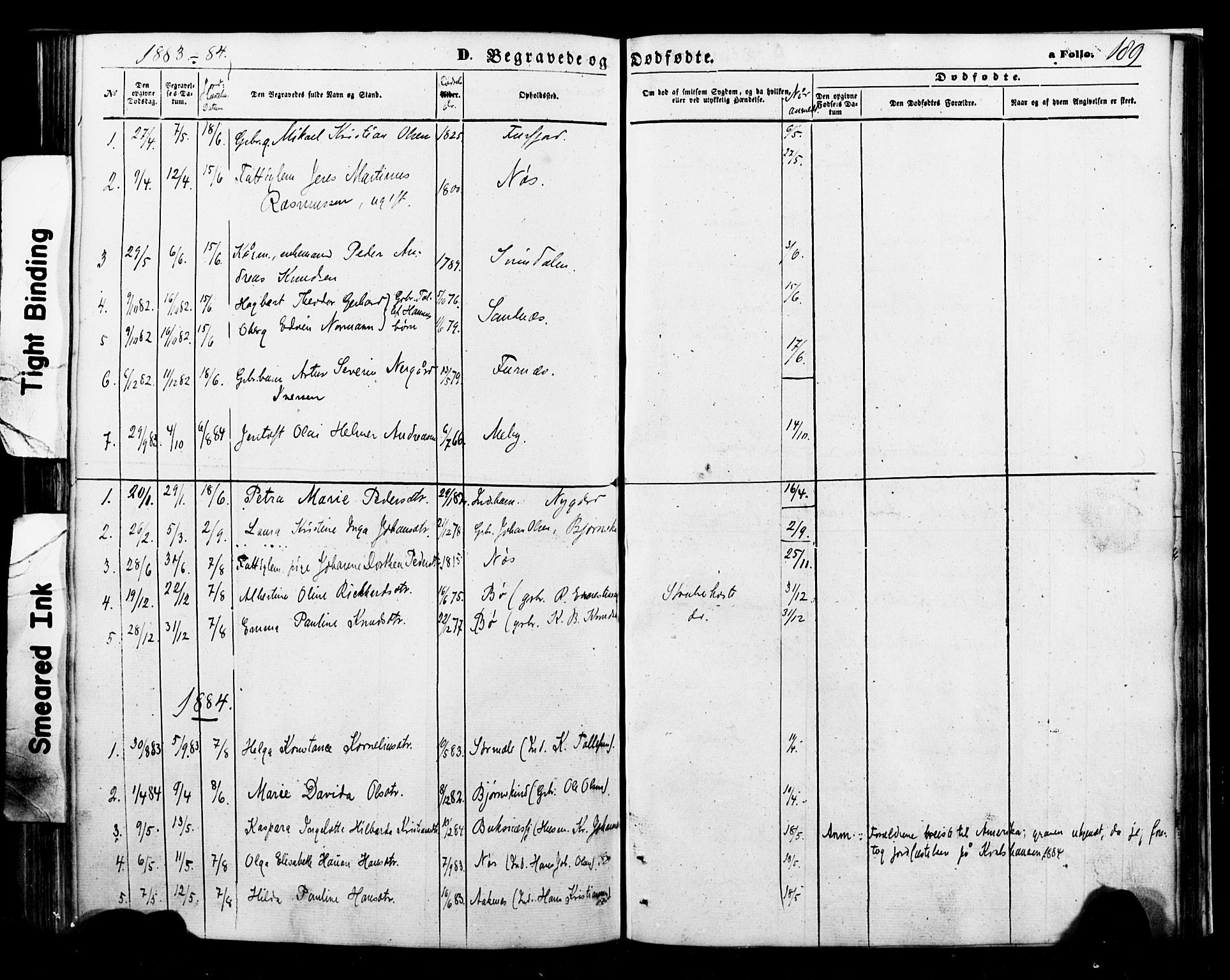 Ministerialprotokoller, klokkerbøker og fødselsregistre - Nordland, SAT/A-1459/898/L1421: Parish register (official) no. 898A01, 1866-1886, p. 189