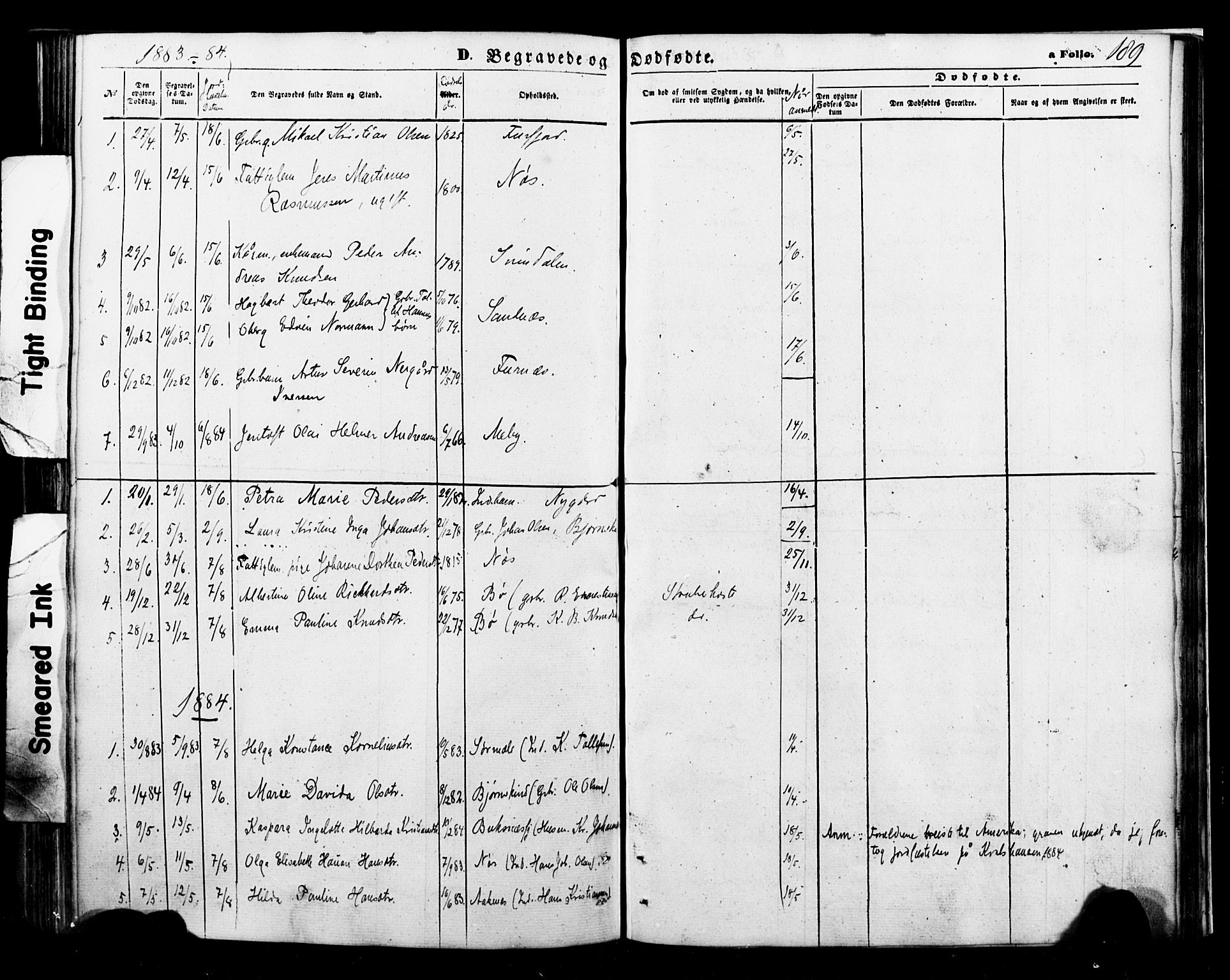 Ministerialprotokoller, klokkerbøker og fødselsregistre - Nordland, AV/SAT-A-1459/898/L1421: Parish register (official) no. 898A01, 1866-1886, p. 189