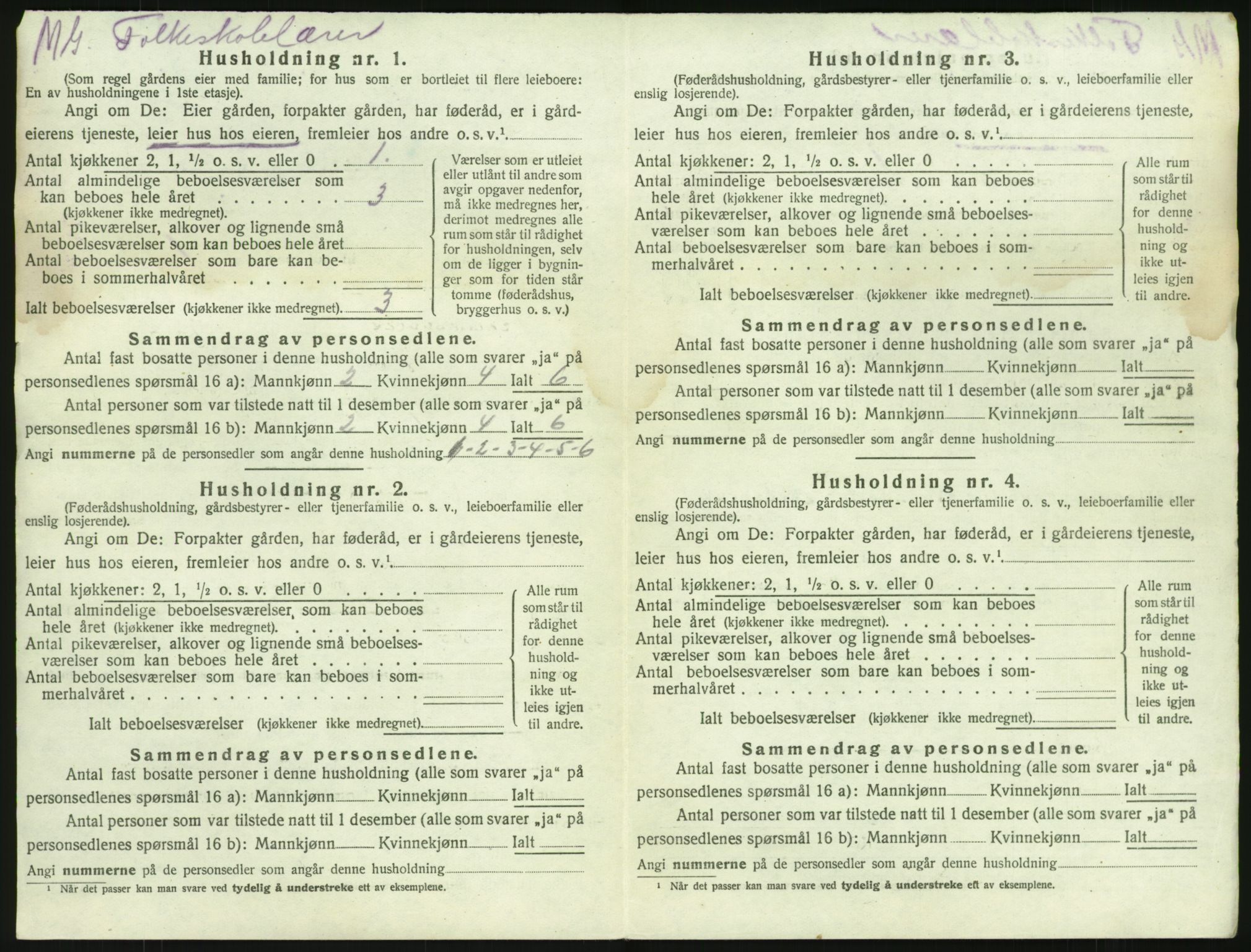 SAKO, 1920 census for Brunlanes, 1920, p. 496