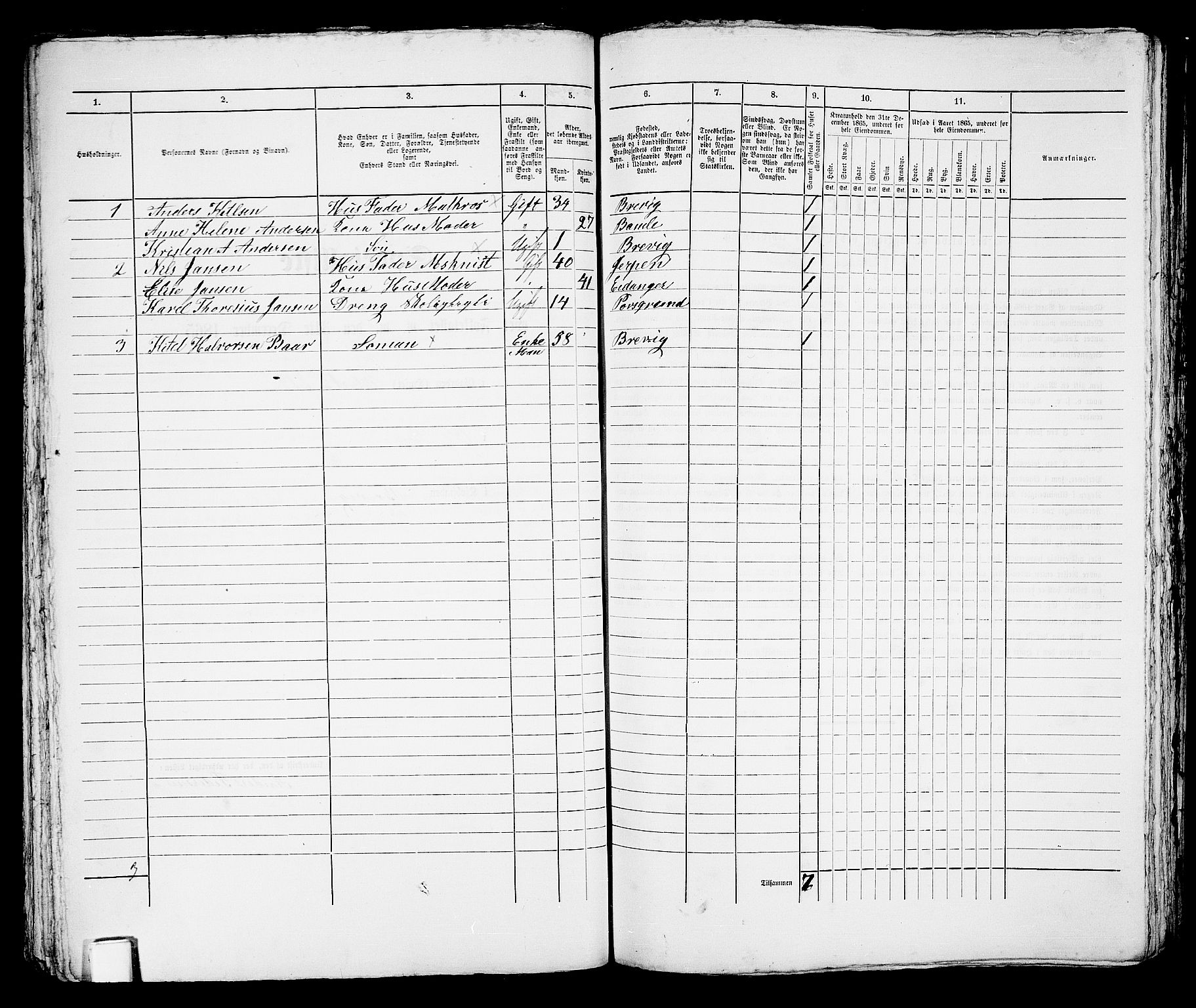 RA, 1865 census for Brevik, 1865, p. 89