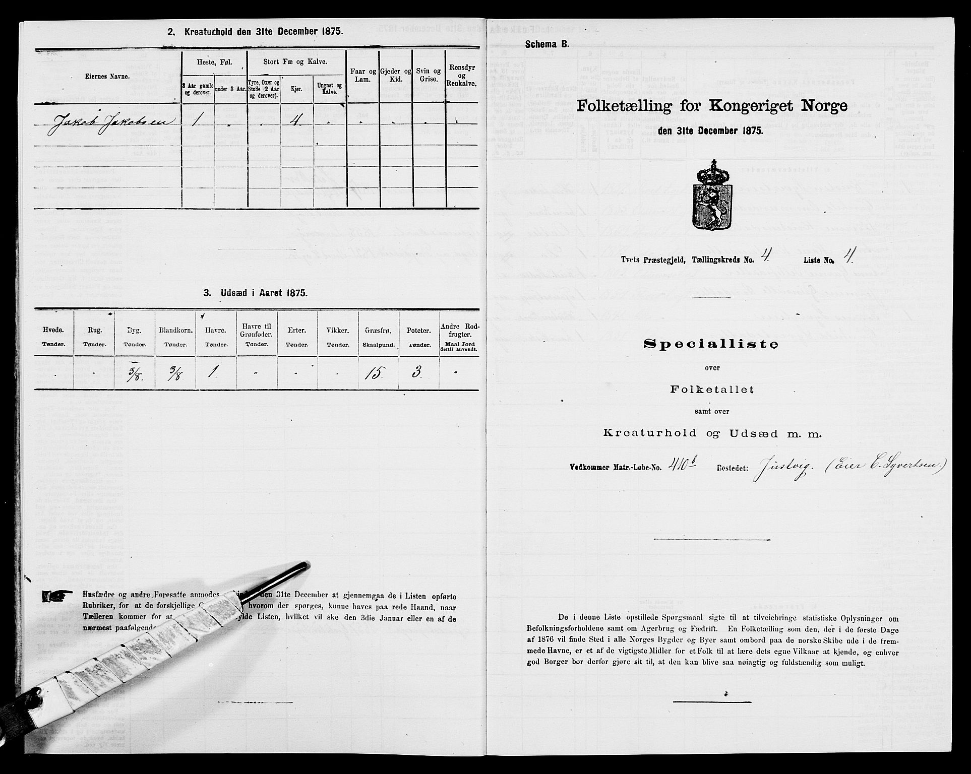 SAK, 1875 census for 1013P Tveit, 1875, p. 509