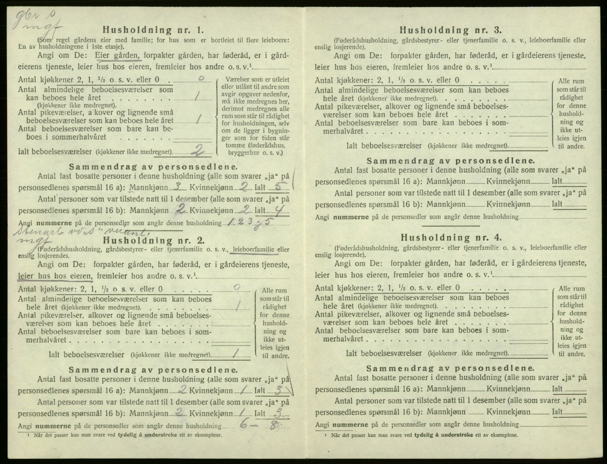 SAB, 1920 census for Hålandsdal, 1920, p. 197