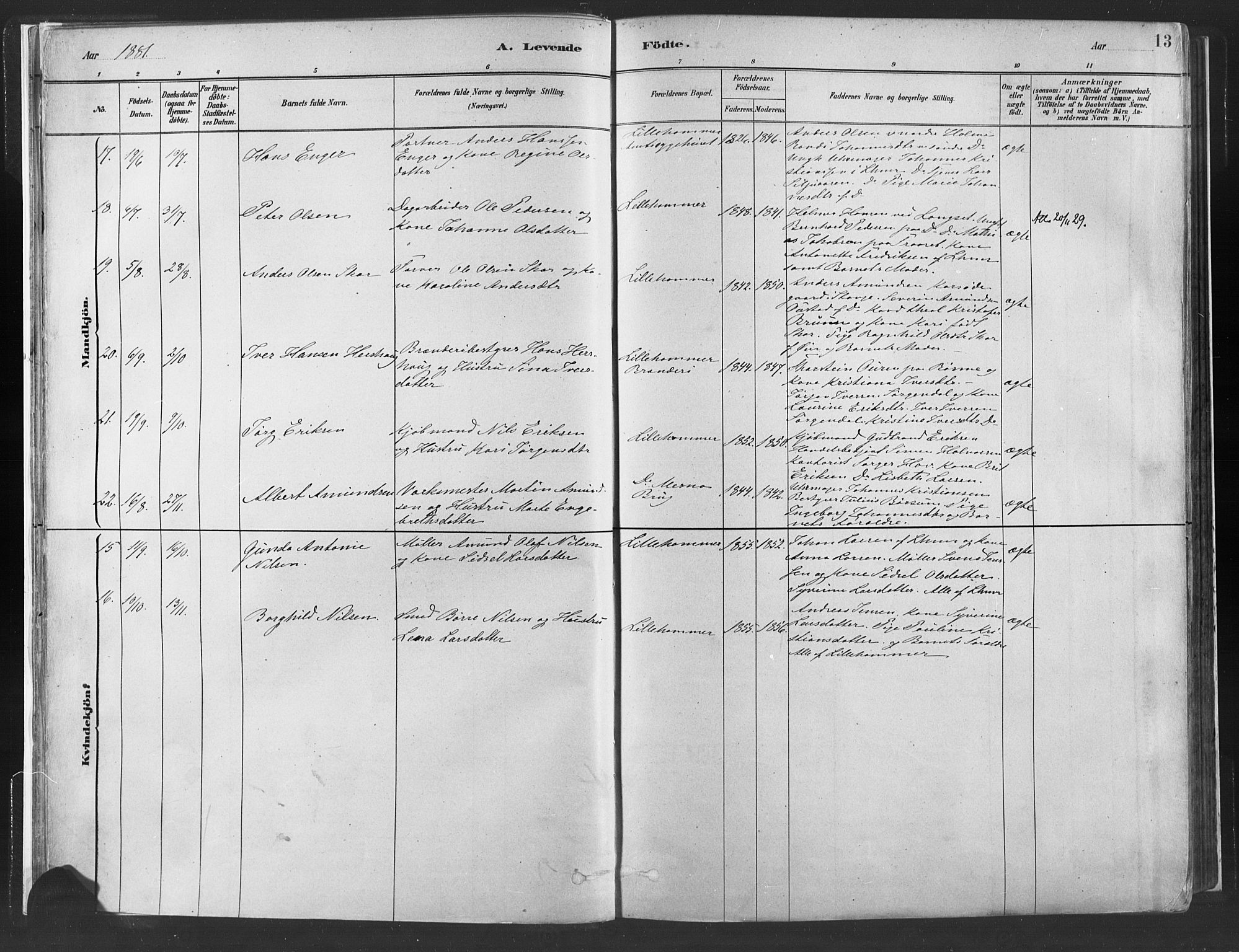 Fåberg prestekontor, SAH/PREST-086/H/Ha/Haa/L0010: Parish register (official) no. 10, 1879-1900, p. 13