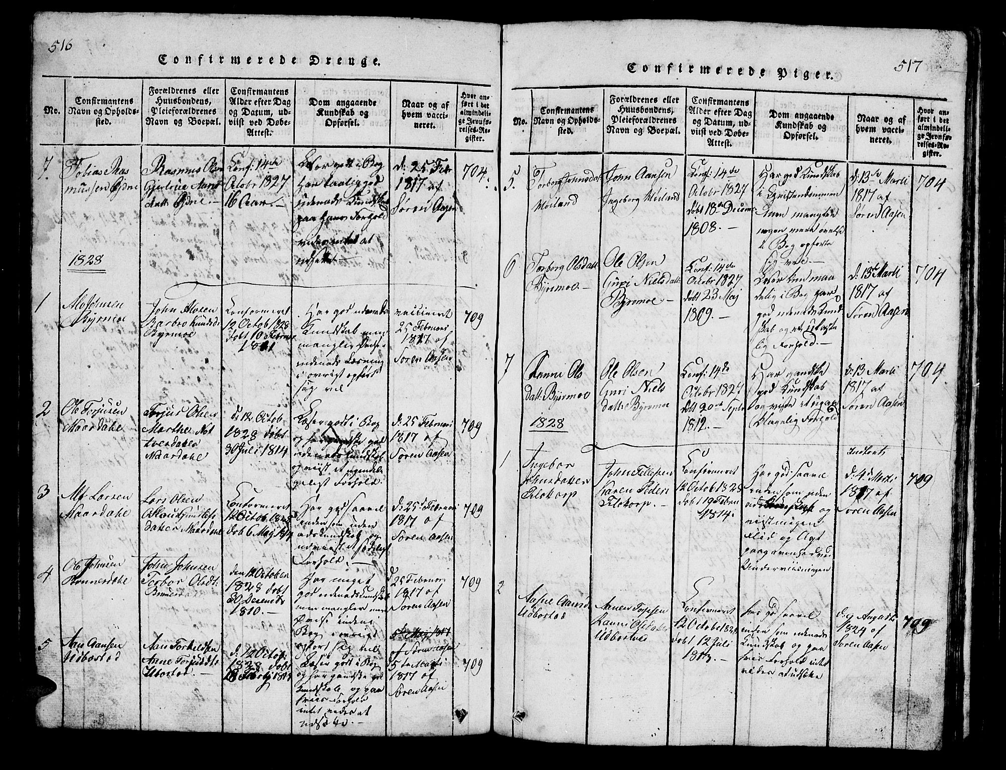 Bjelland sokneprestkontor, AV/SAK-1111-0005/F/Fb/Fbc/L0001: Parish register (copy) no. B 1, 1815-1870, p. 516-517