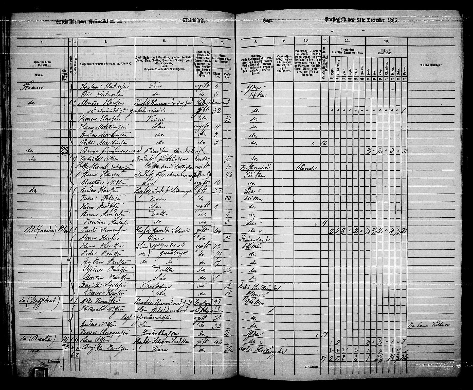 RA, 1865 census for Røyken, 1865, p. 74