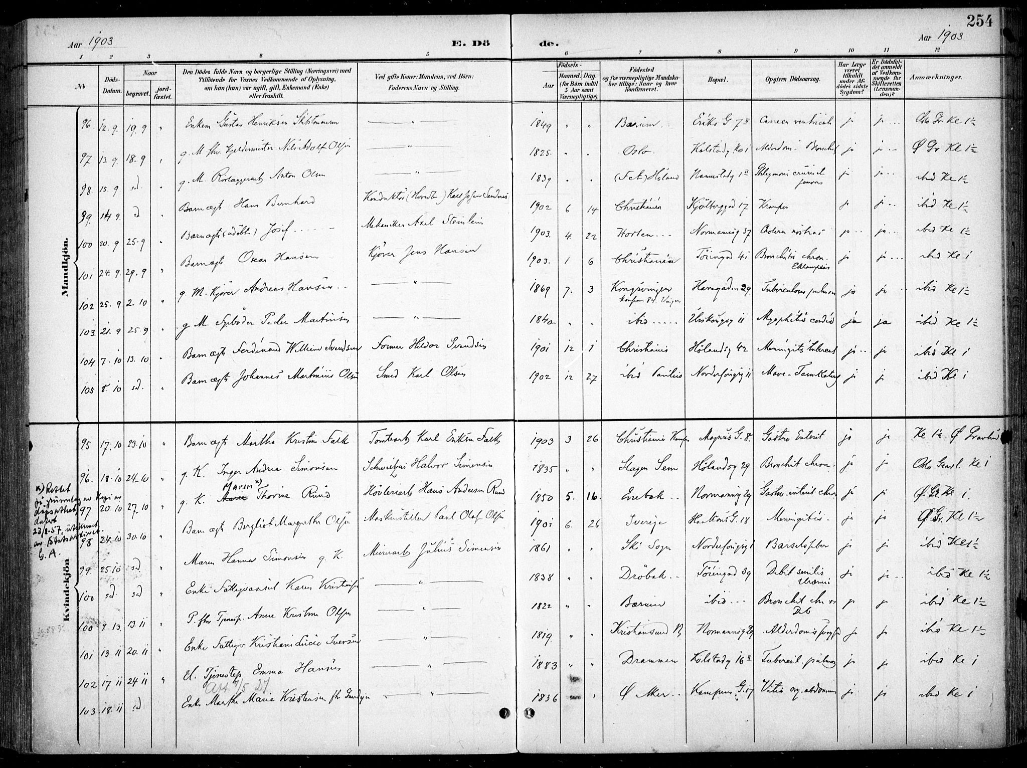 Kampen prestekontor Kirkebøker, SAO/A-10853/F/Fa/L0009: Parish register (official) no. I 9, 1899-1911, p. 254