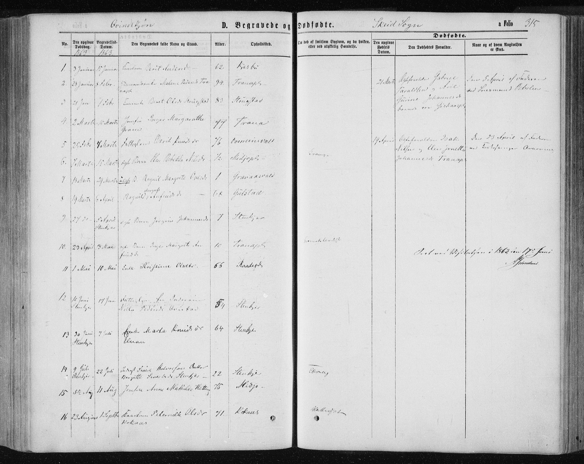 Ministerialprotokoller, klokkerbøker og fødselsregistre - Nord-Trøndelag, SAT/A-1458/735/L0345: Parish register (official) no. 735A08 /2, 1863-1872, p. 315