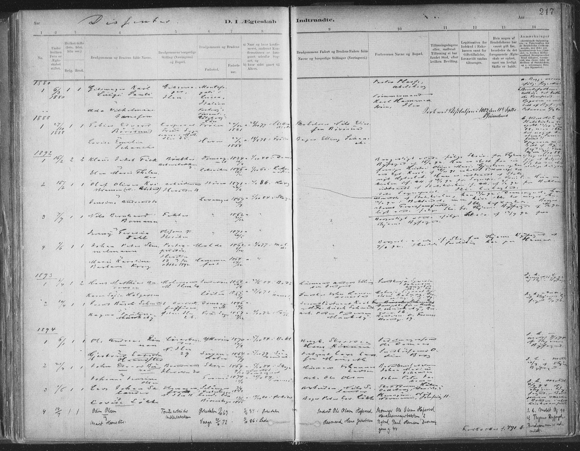 Ministerialprotokoller, klokkerbøker og fødselsregistre - Sør-Trøndelag, AV/SAT-A-1456/603/L0162: Parish register (official) no. 603A01, 1879-1895, p. 217