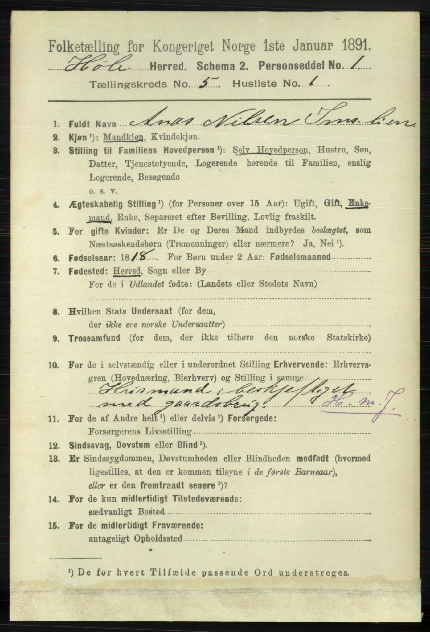 RA, 1891 census for 1128 Høle, 1891, p. 1053