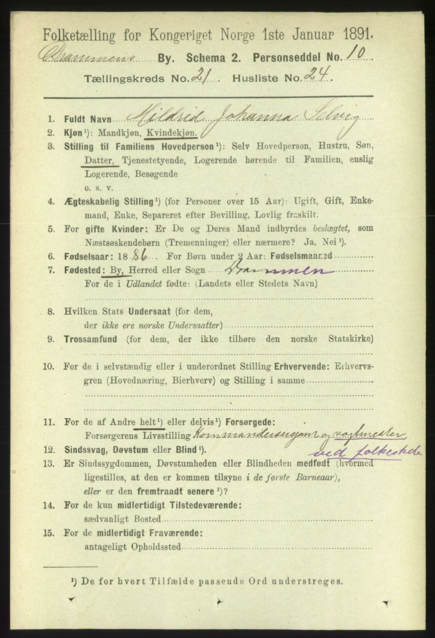 RA, 1891 census for 0602 Drammen, 1891, p. 13313